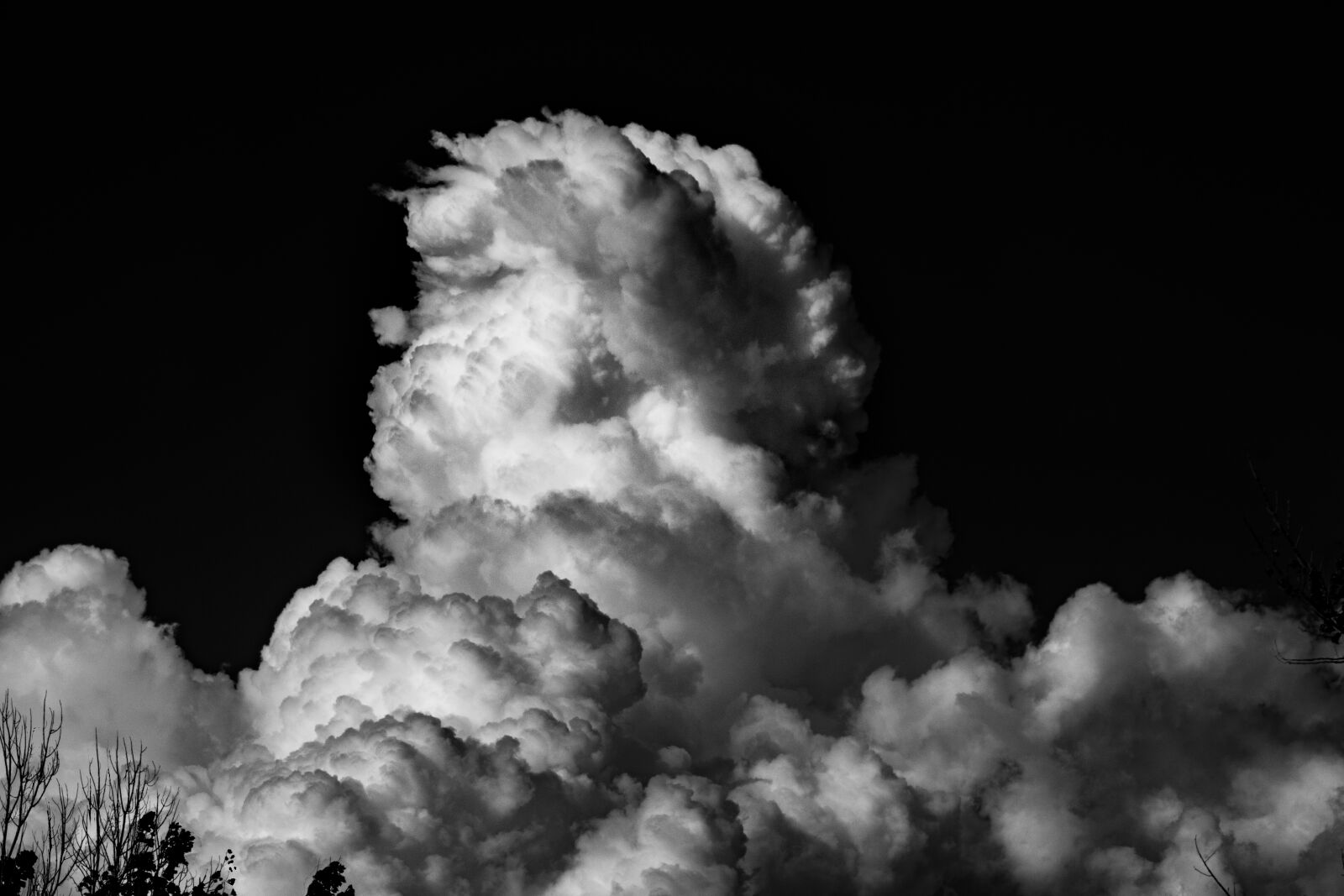 Canon EF 75-300mm f/4-5.6 sample photo. Nature, clouds, trees photography