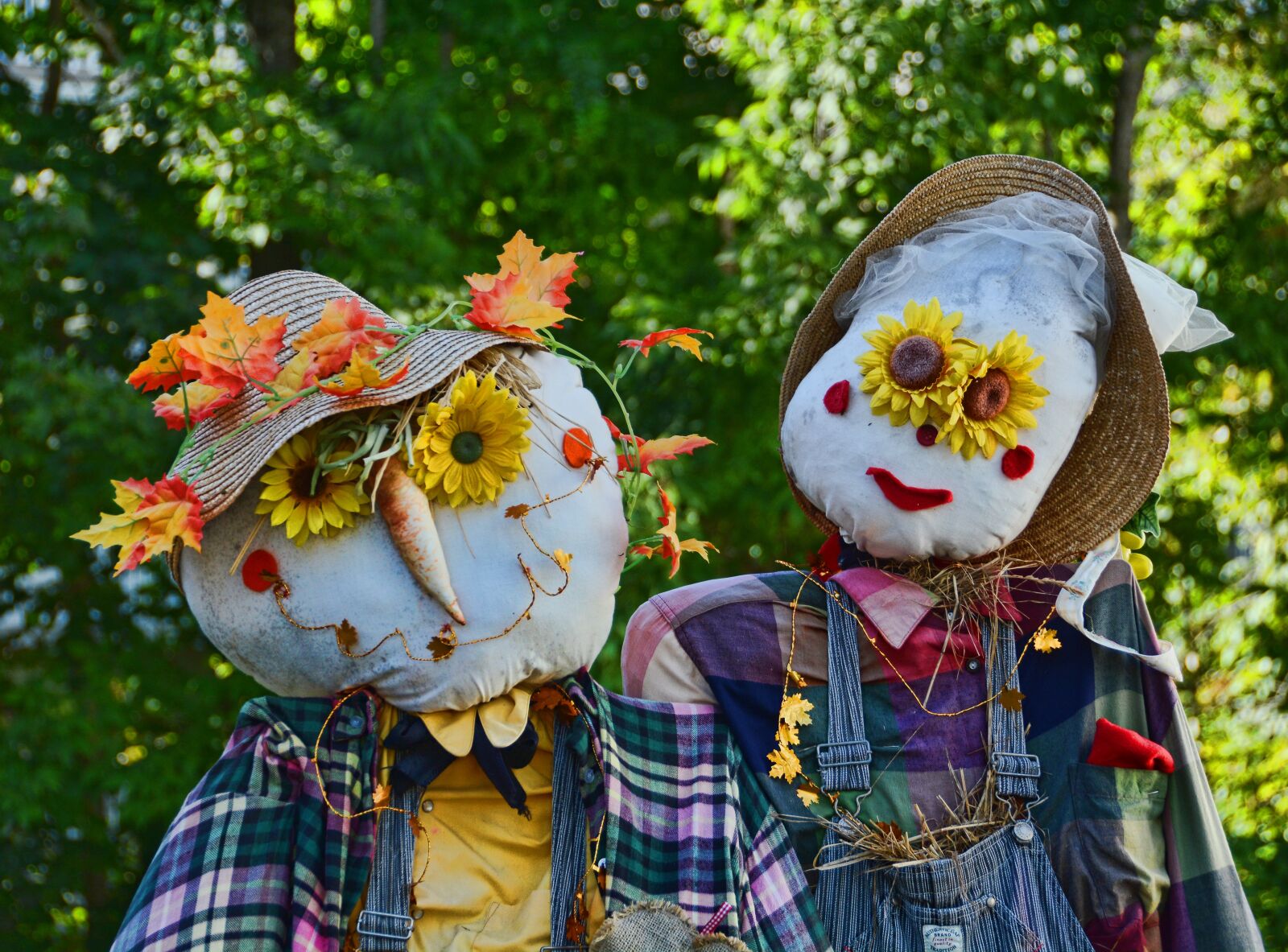 Nikon D7100 sample photo. Scarecrow, festival, mahone bay photography