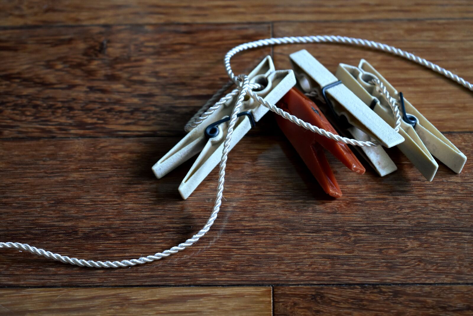 Nikon D3400 sample photo. Clothes peg, rope, clothesline photography