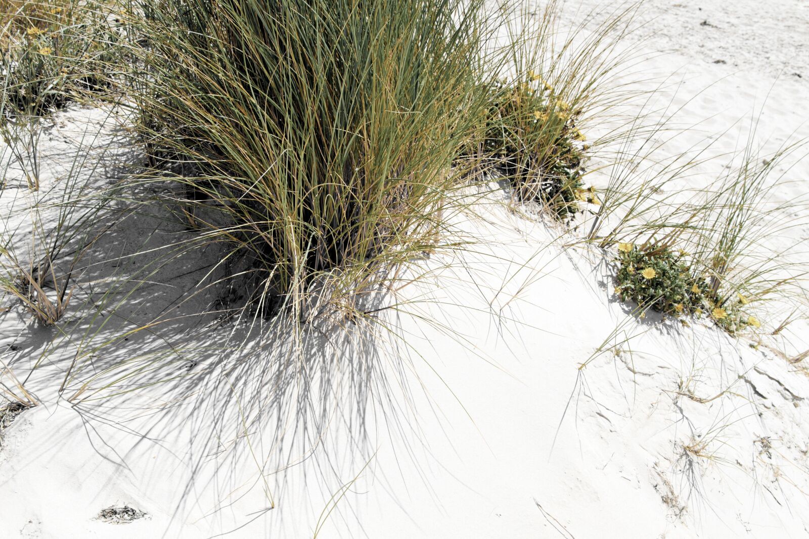 Canon EOS 7D sample photo. Beach, sand, sand dunes photography