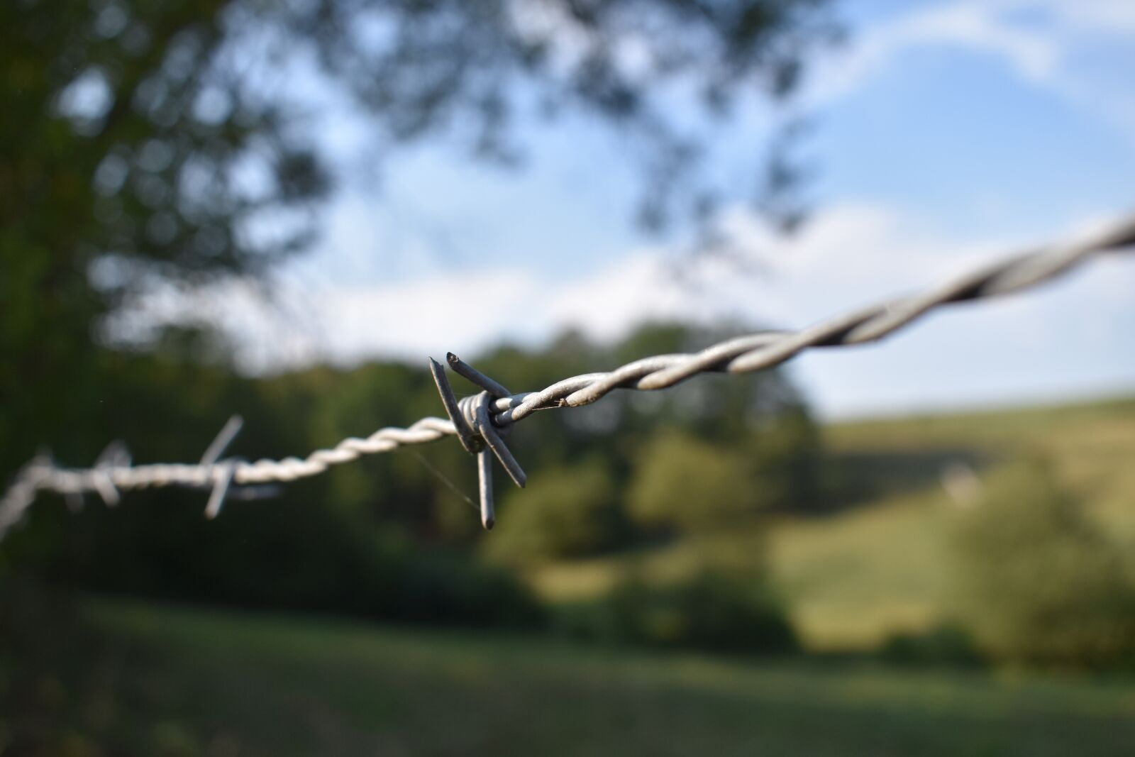 Nikon D3500 sample photo. Barbed wire, fence, pasture photography