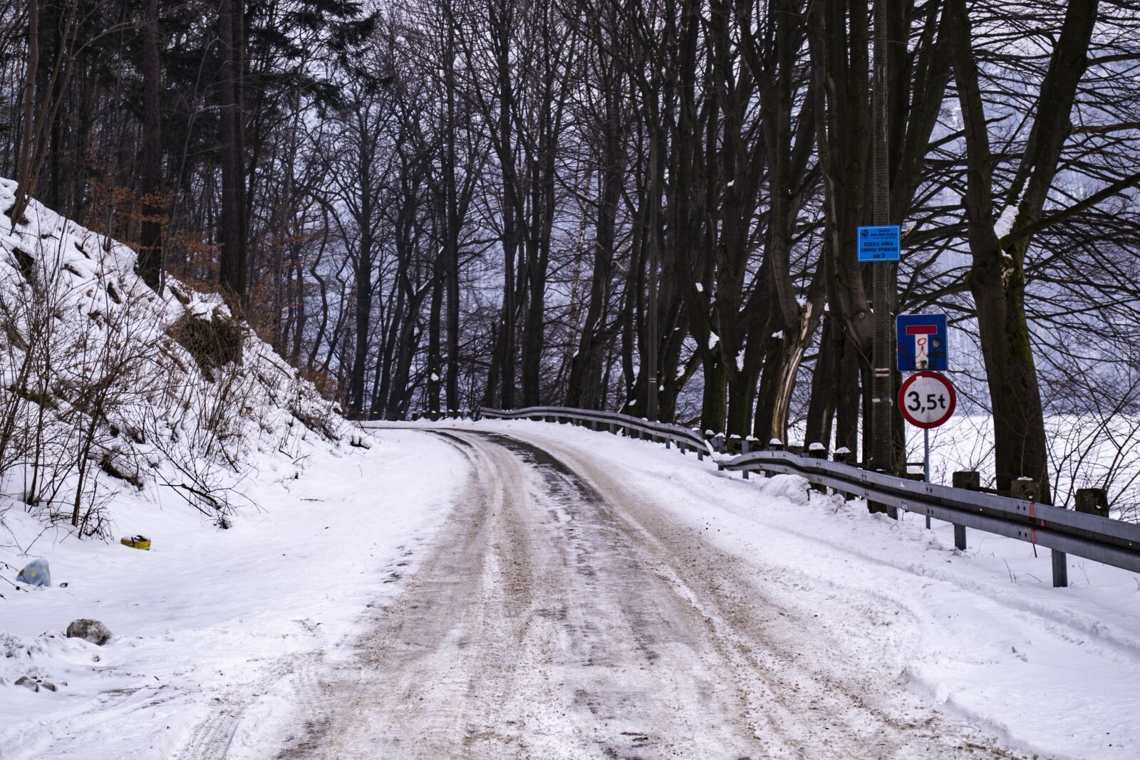 Nikon D3100 sample photo. Forest, way, winter photography