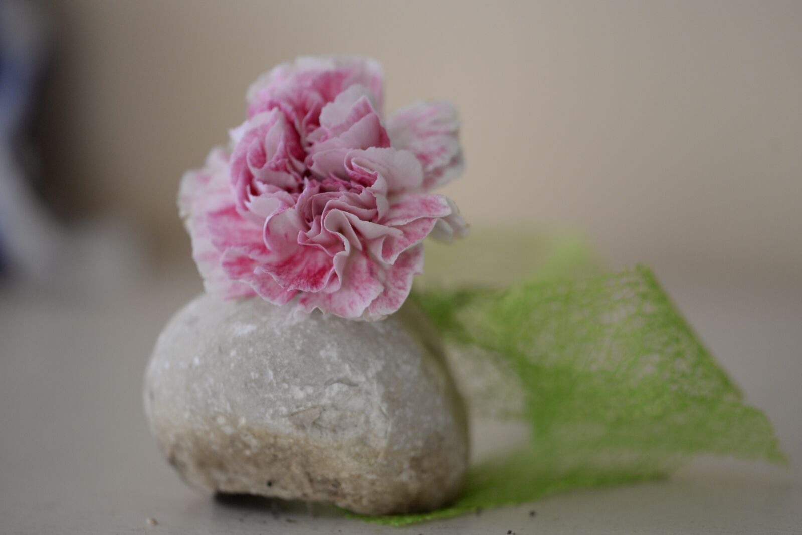 Nikon D610 sample photo. Flowers, pink, romantic photography