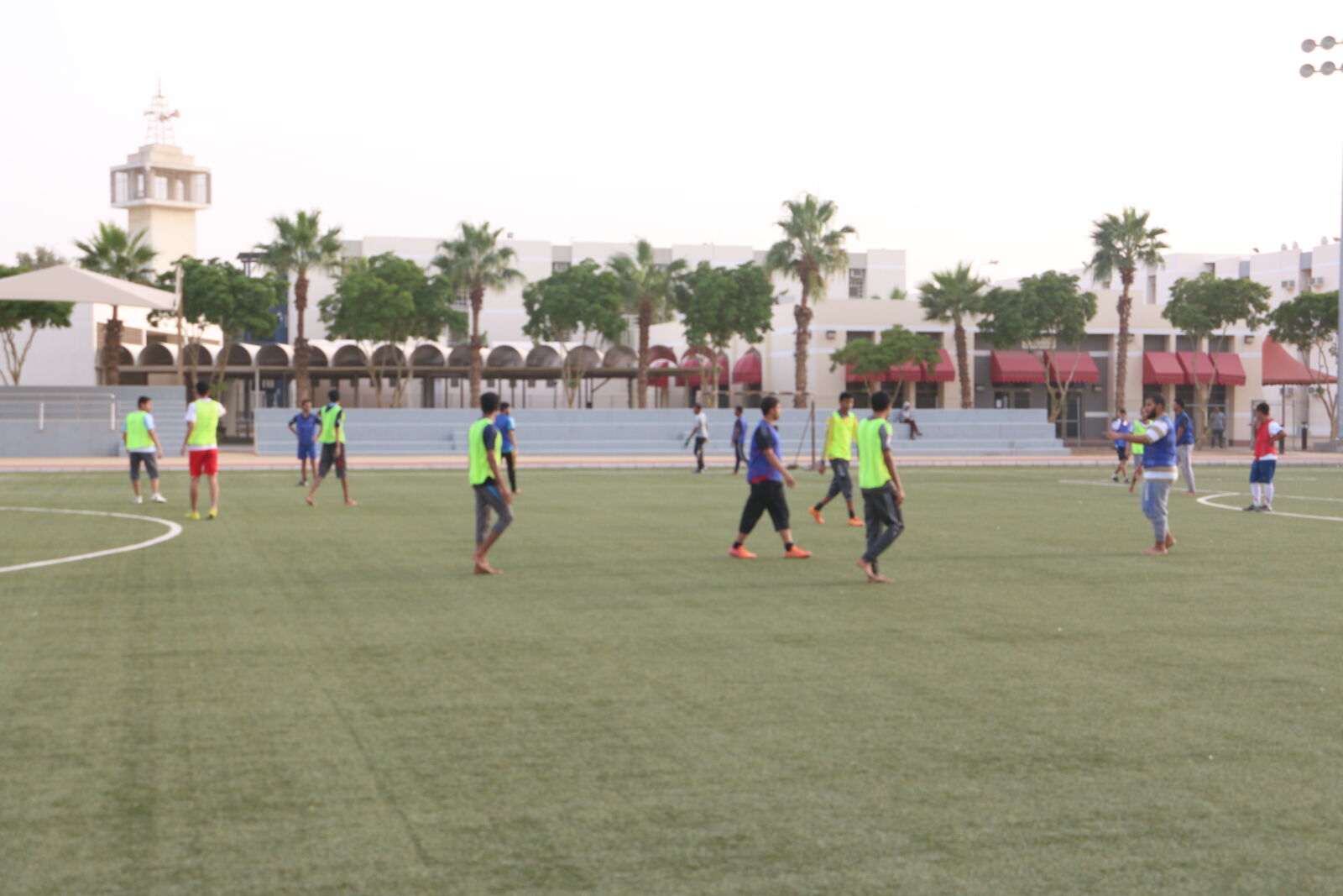Canon EOS 70D sample photo