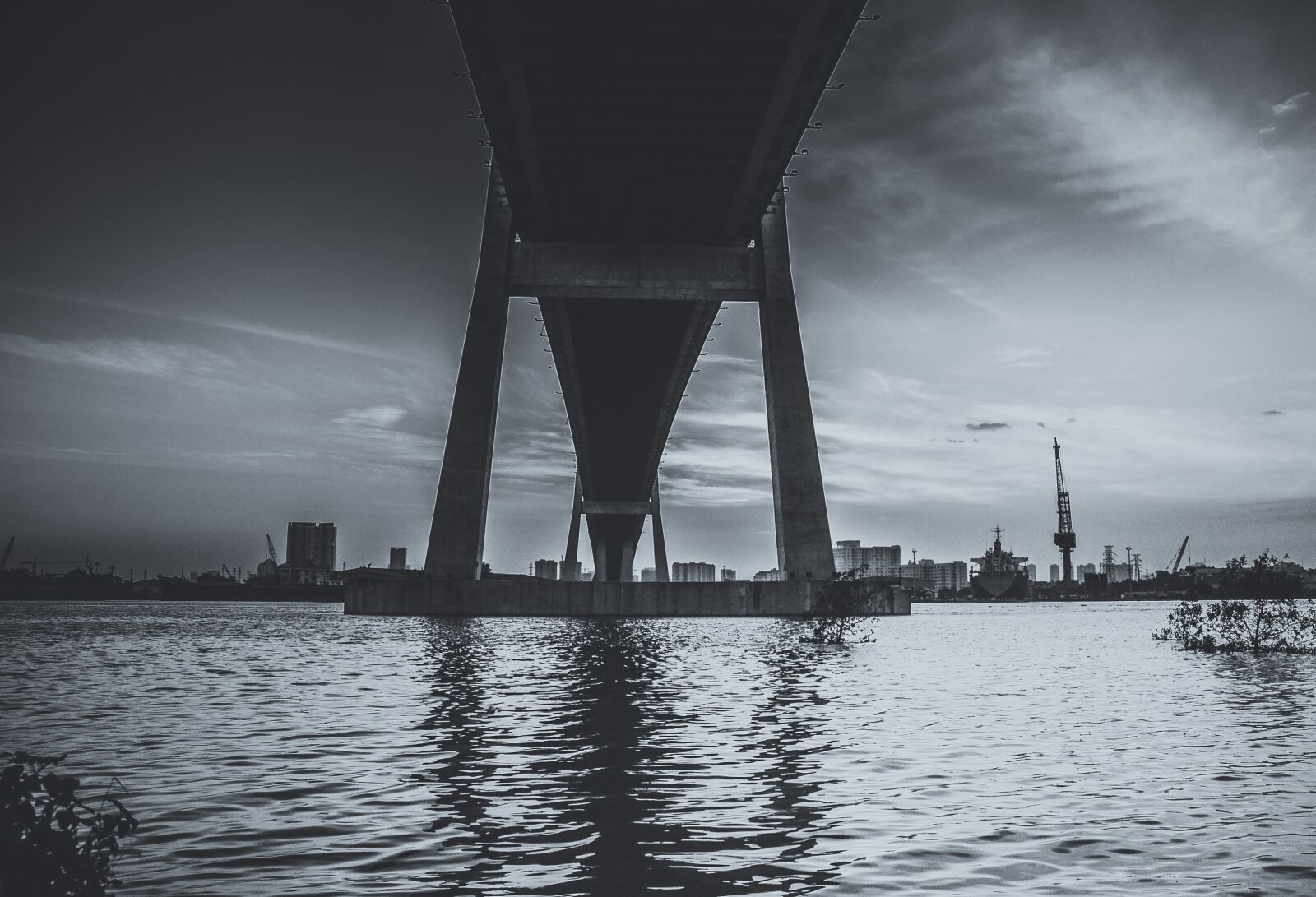 Nikon D5100 sample photo. Bridge, black, white photography