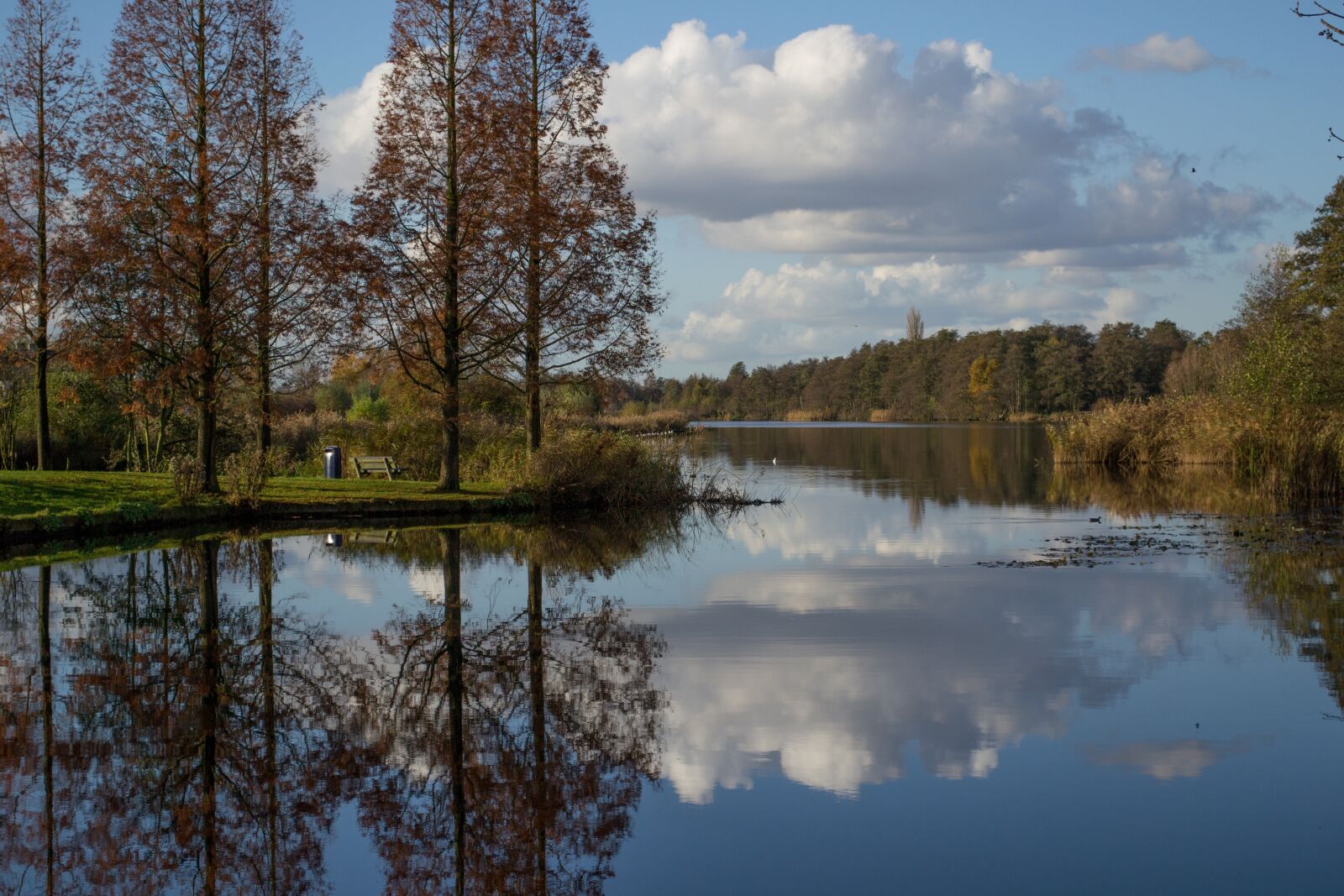 Nikon D3100 sample photo. Nature, clouds, water photography