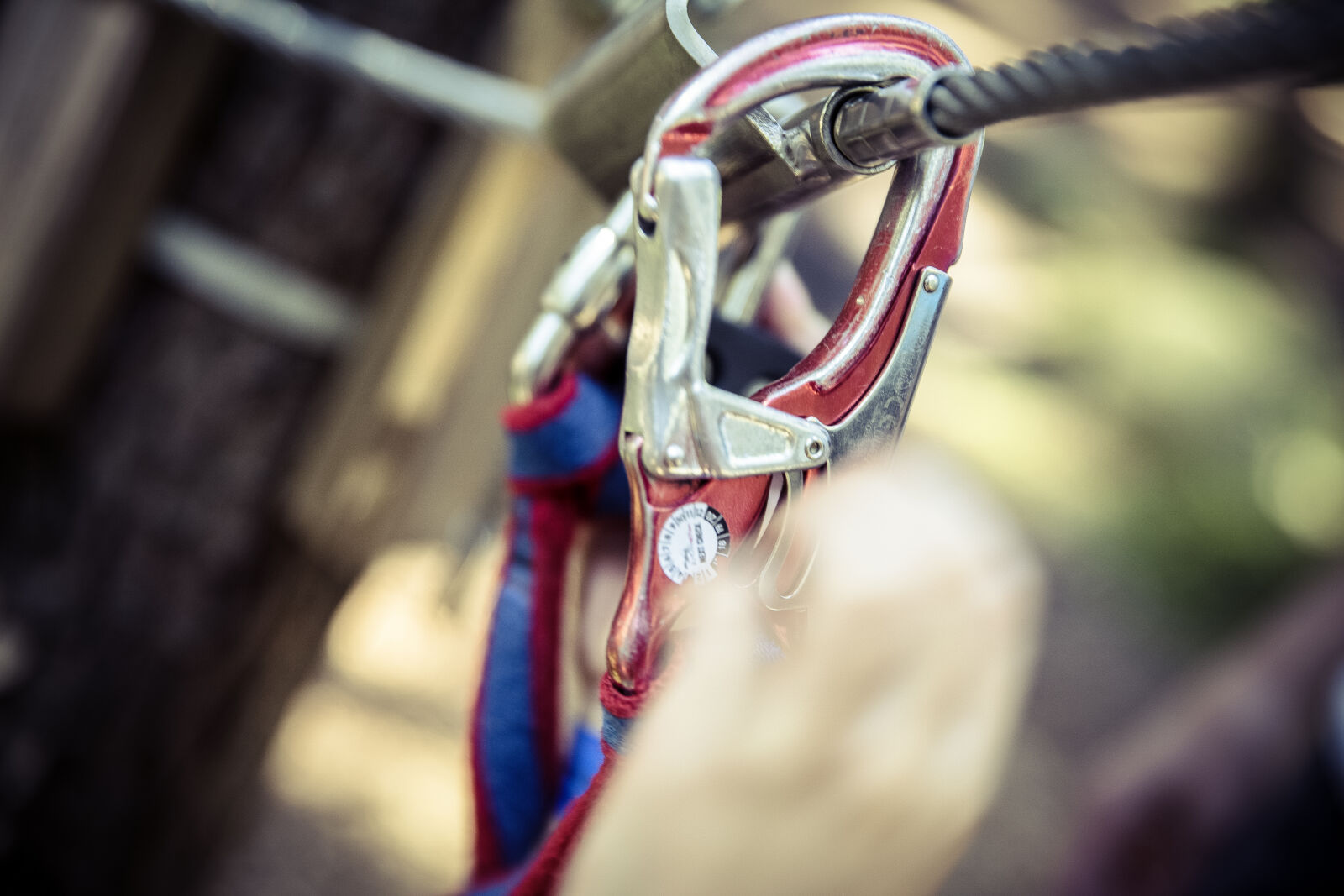 Canon EF 24-70mm F2.8L II USM sample photo