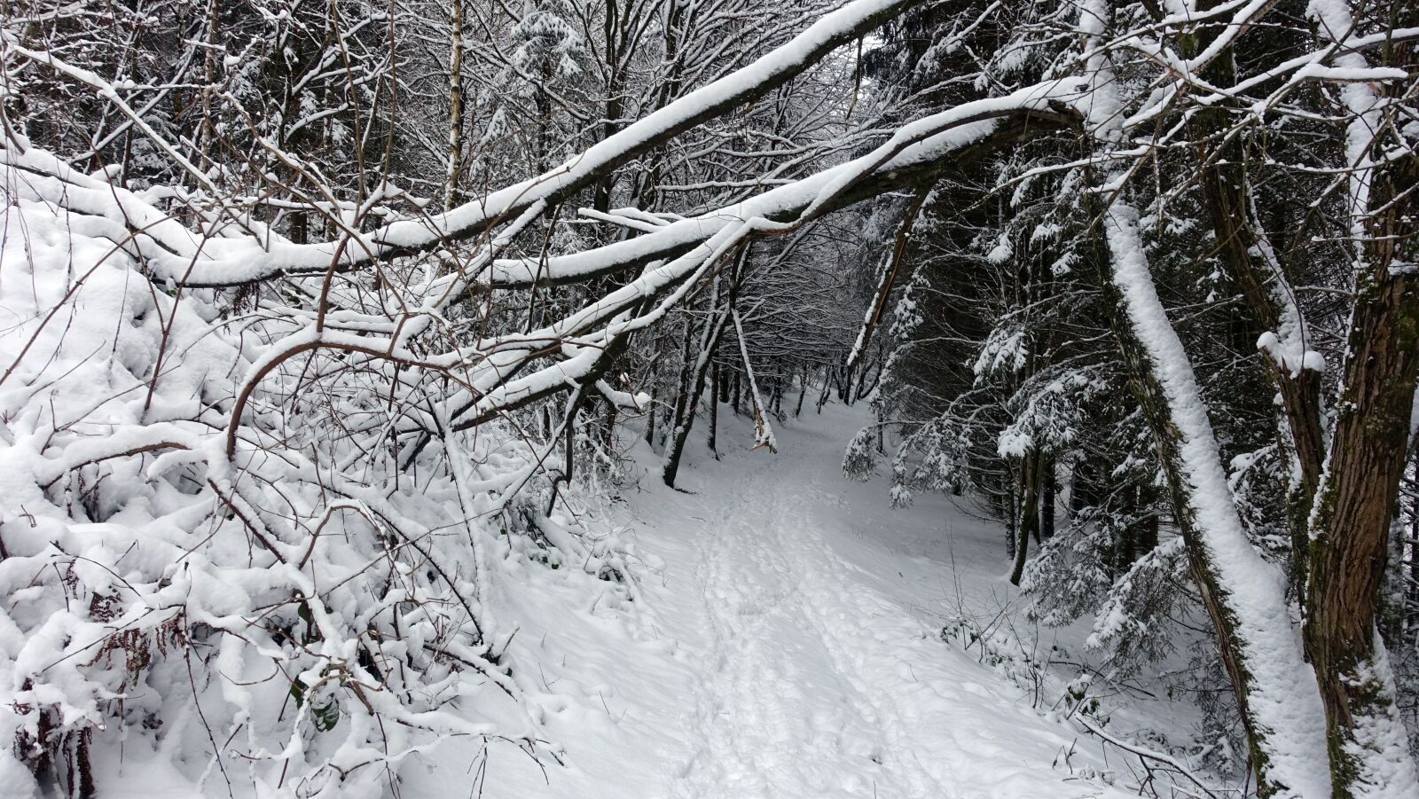 Sony Cyber-shot DSC-RX100 III sample photo. Snow, white, winter landscape photography