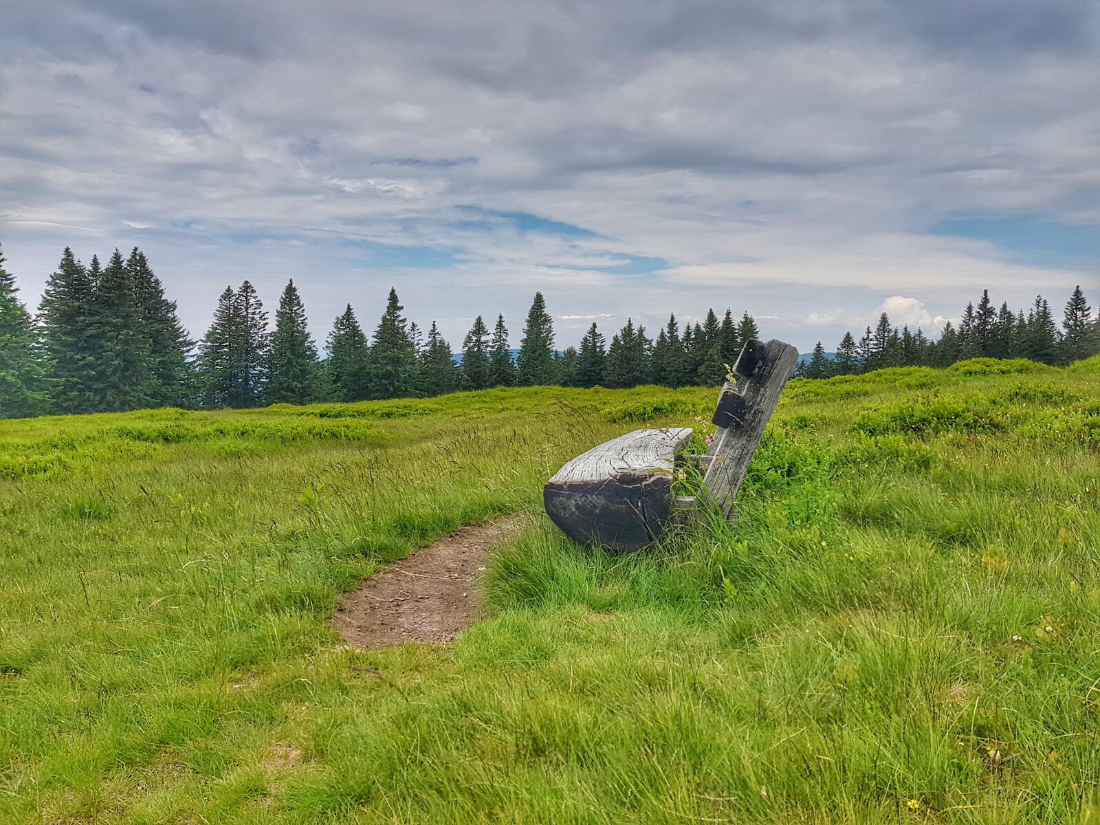 Samsung Galaxy S8 sample photo. Slovenia, rogla, pohorje photography