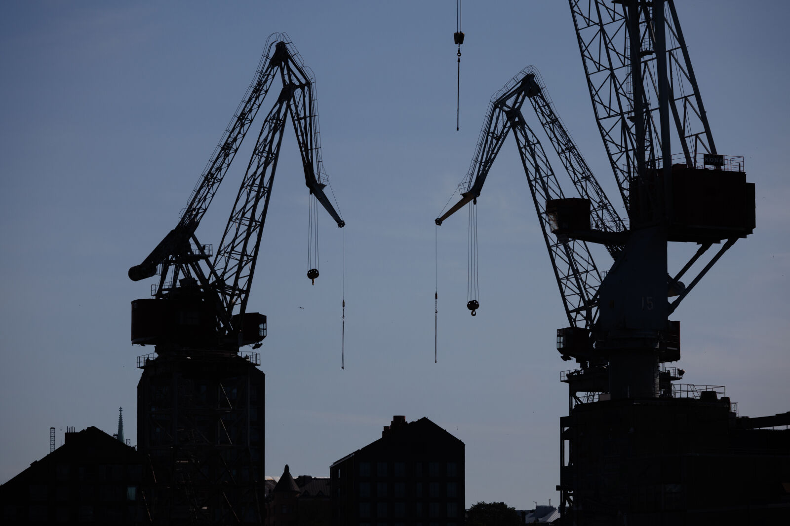 Canon RF-S 55-210mm F5.0-7.1 IS STM sample photo. Morning cranes photography