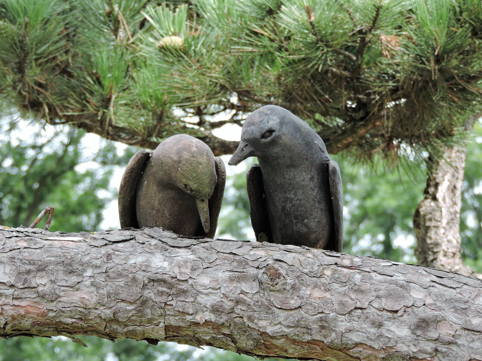 Nikon Coolpix P530 sample photo. Birds, wood, garden photography