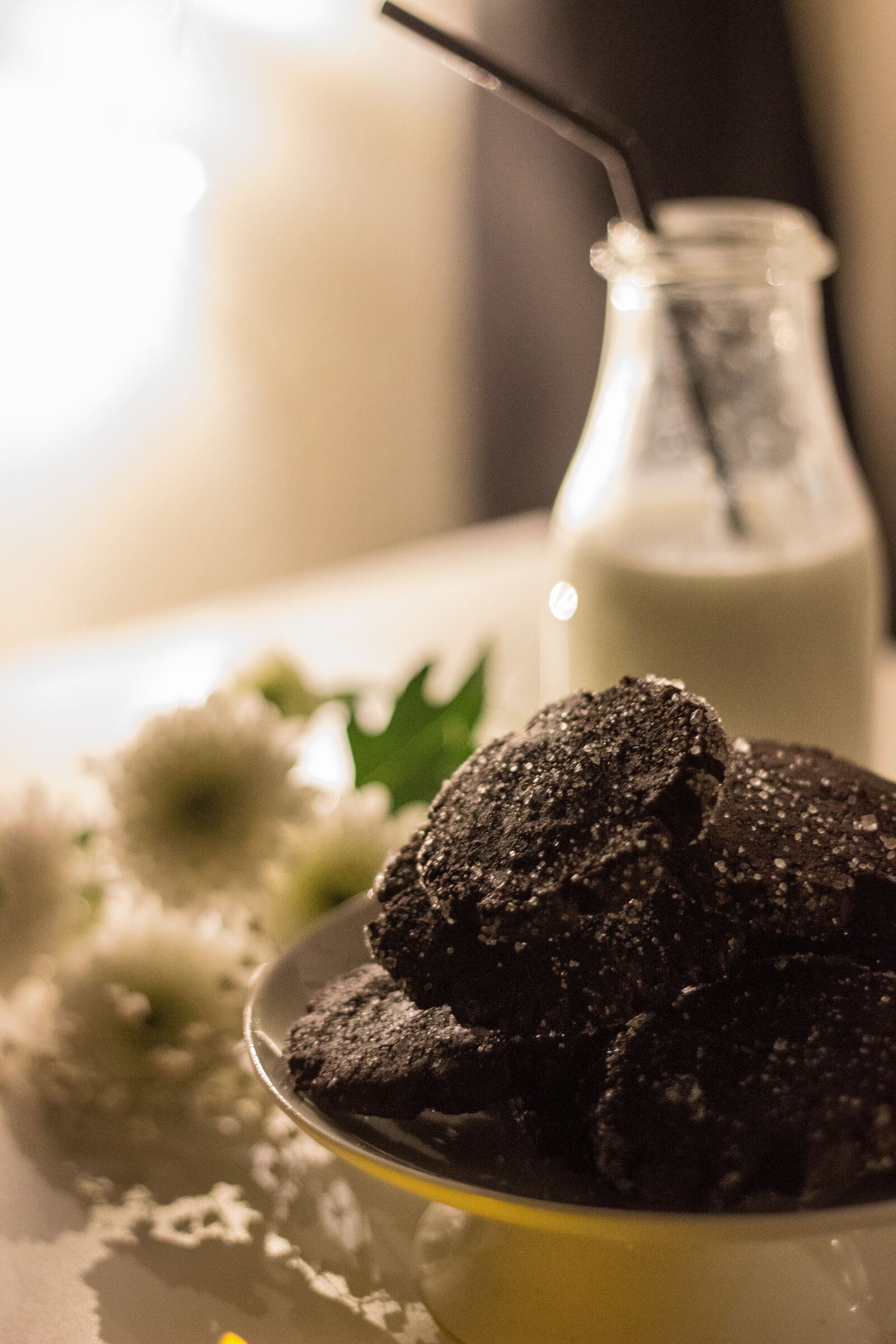 Canon EOS 600D (Rebel EOS T3i / EOS Kiss X5) + Canon EF 50mm F1.8 II sample photo. Cookie, chocolate, sweet photography