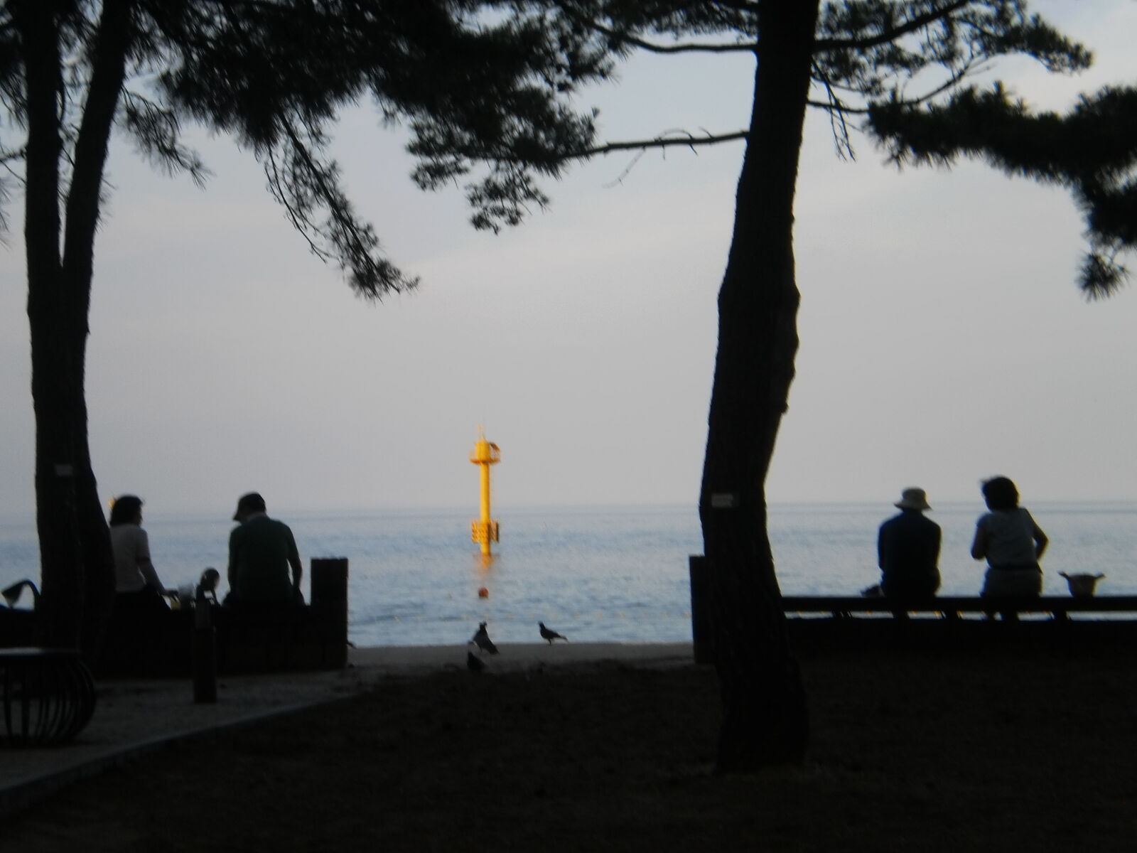 Olympus T105,T100,X36 sample photo