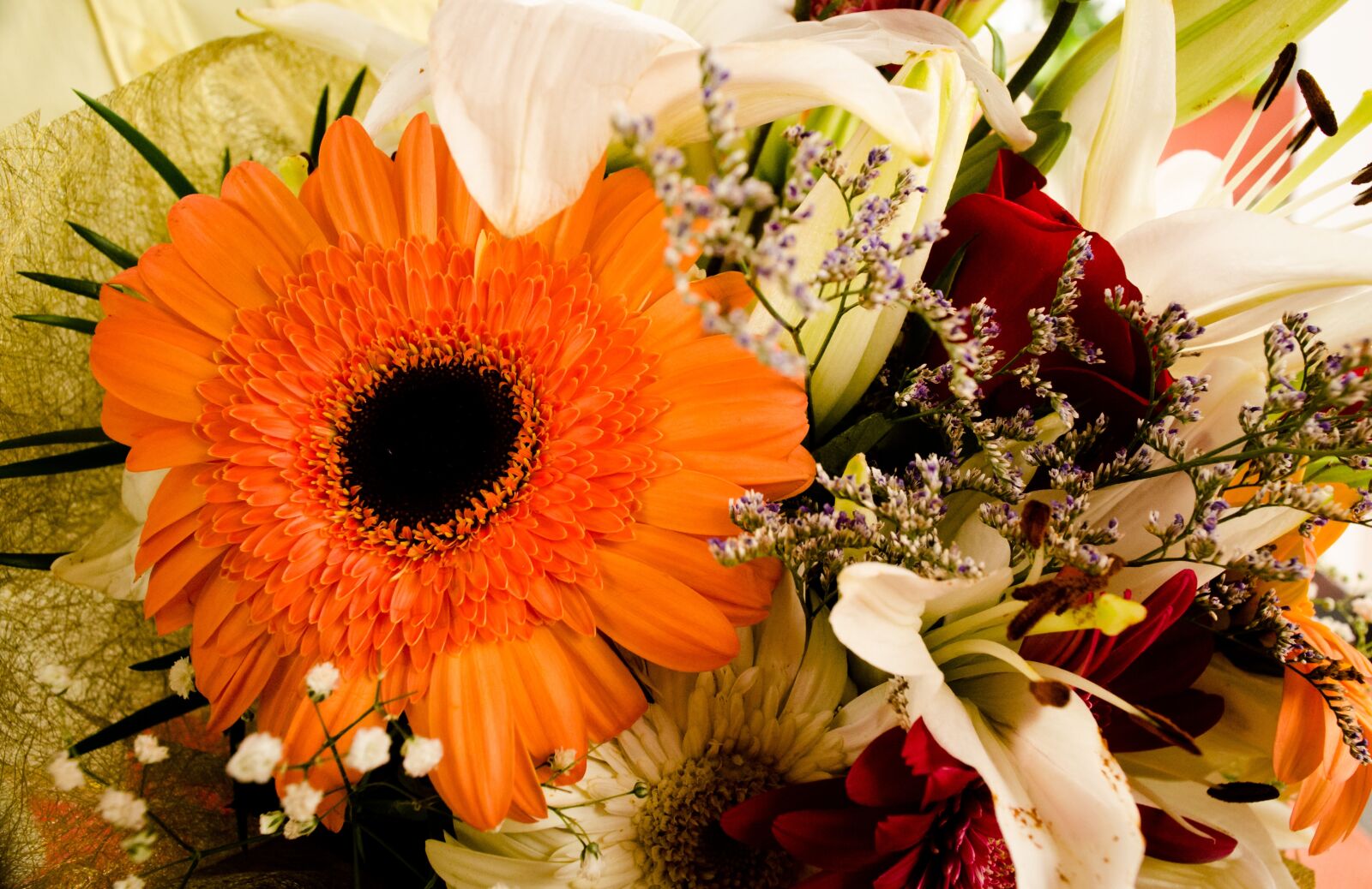 Nikon D7000 sample photo. Flower, flora, nature photography