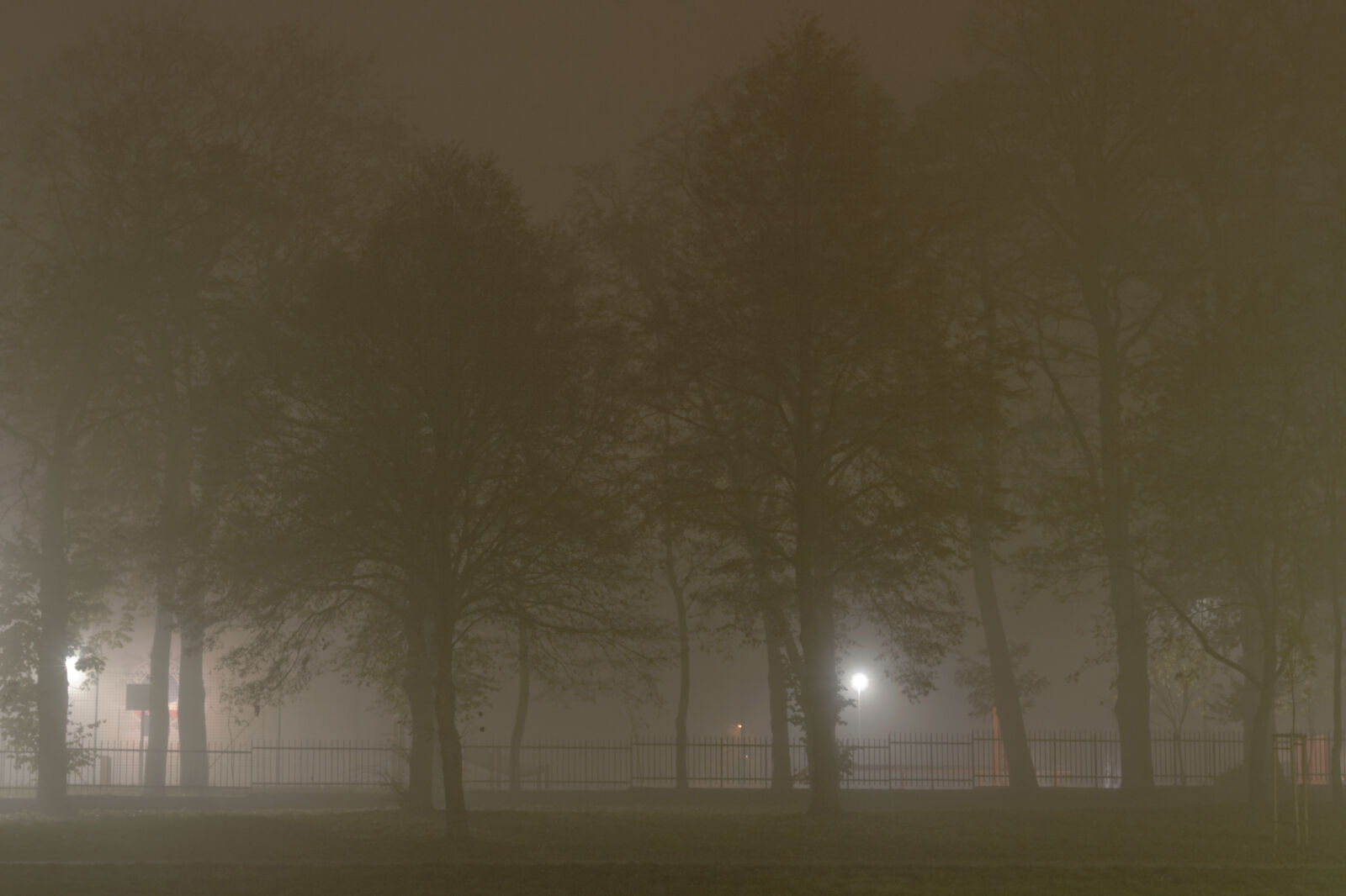Canon EF 50mm F1.8 II sample photo. Autumn, fog photography