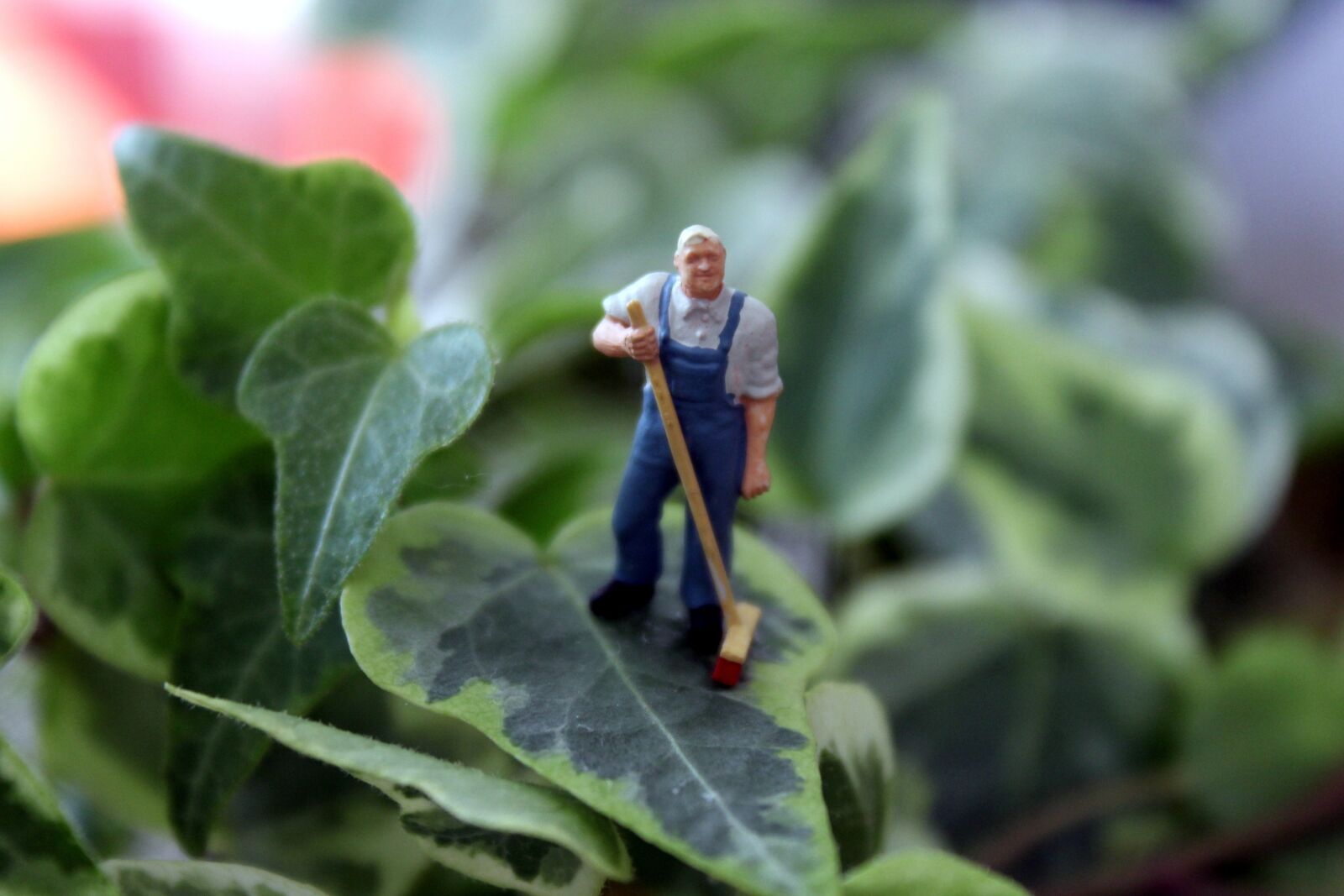 Canon EOS 1300D (EOS Rebel T6 / EOS Kiss X80) sample photo. Miniatures, miniature photography, ivy photography