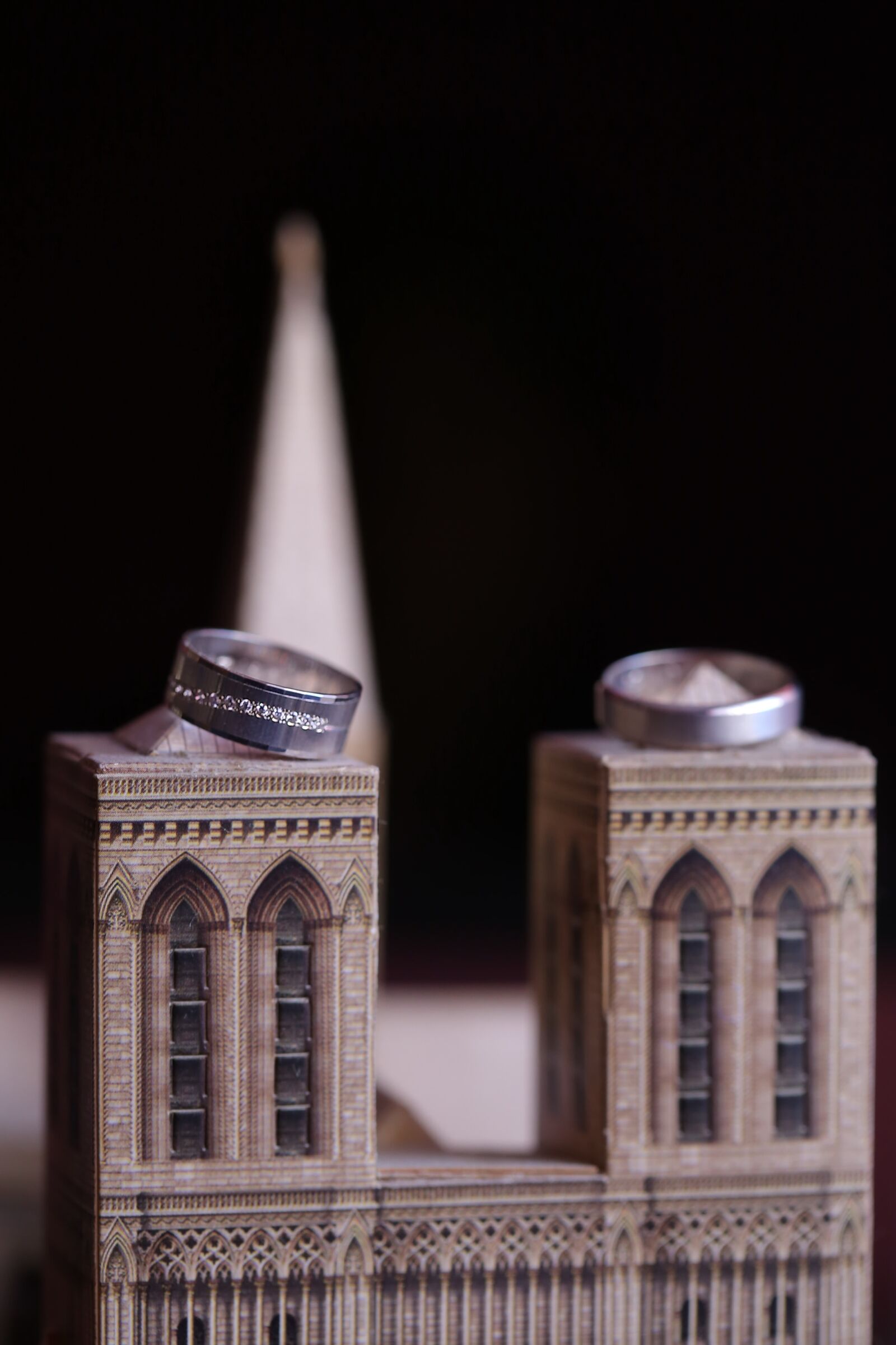 Canon EF 100mm F2.8 Macro USM sample photo. Miniature, wedding ring, close-up photography