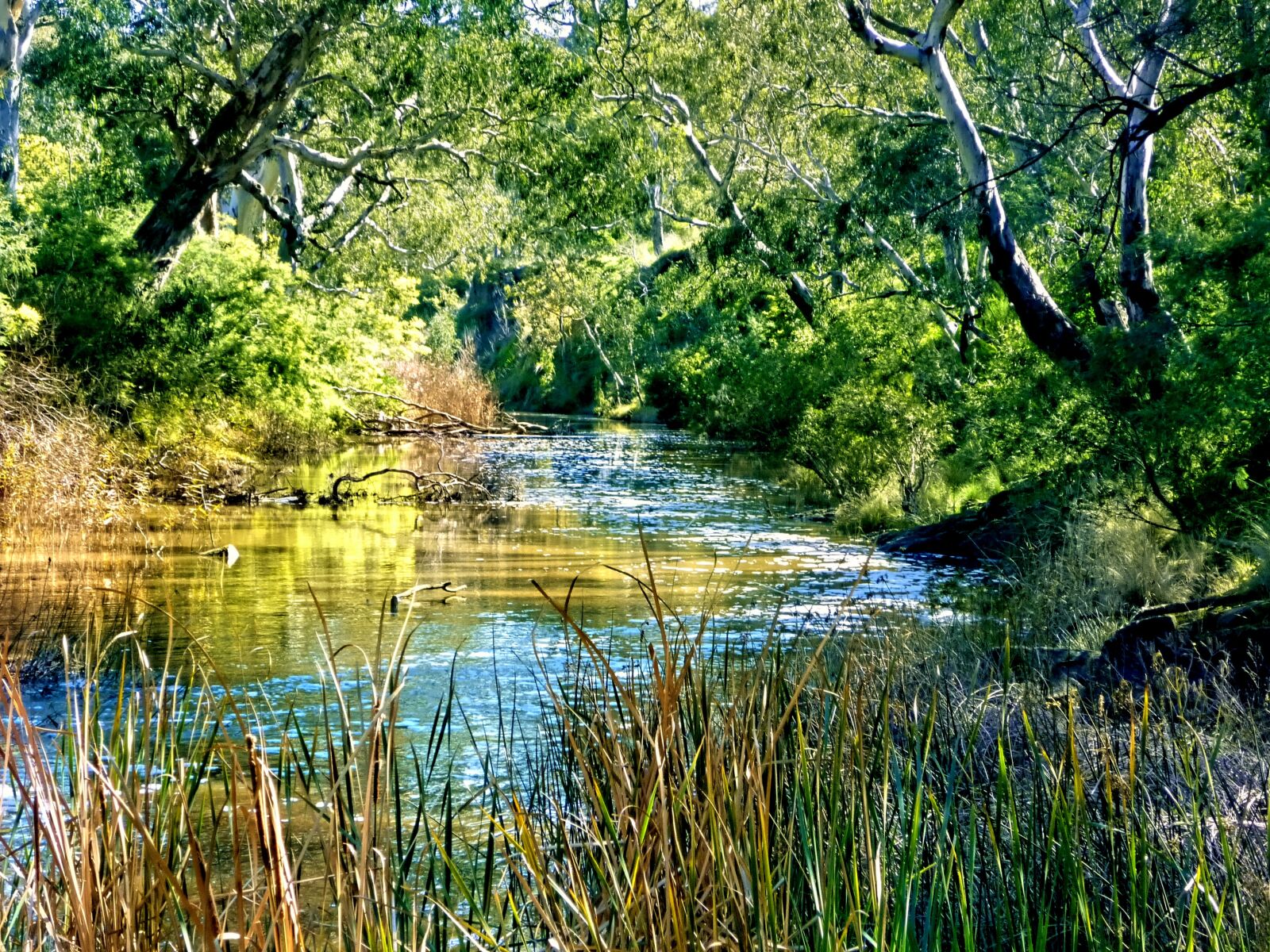 Panasonic DMC-FS7 sample photo. River, nature, landscape photography