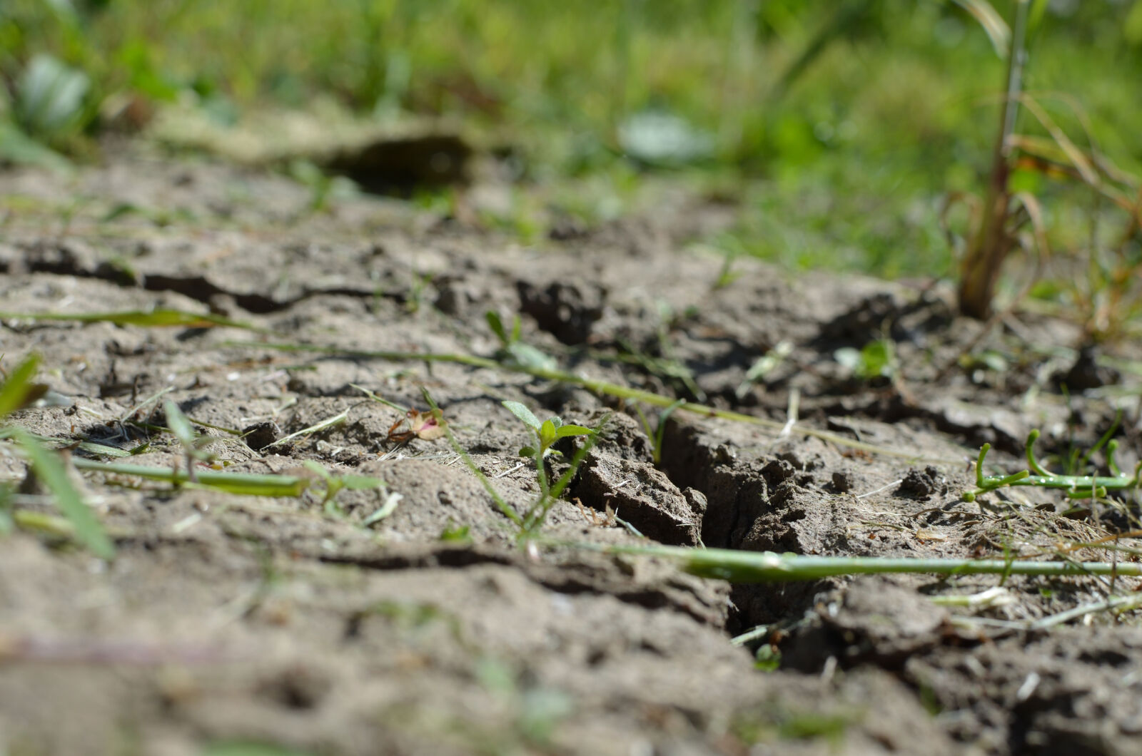 Nikon D5100 + Nikon AF-S DX Nikkor 35mm F1.8G sample photo. Dirt, dry, earth photography