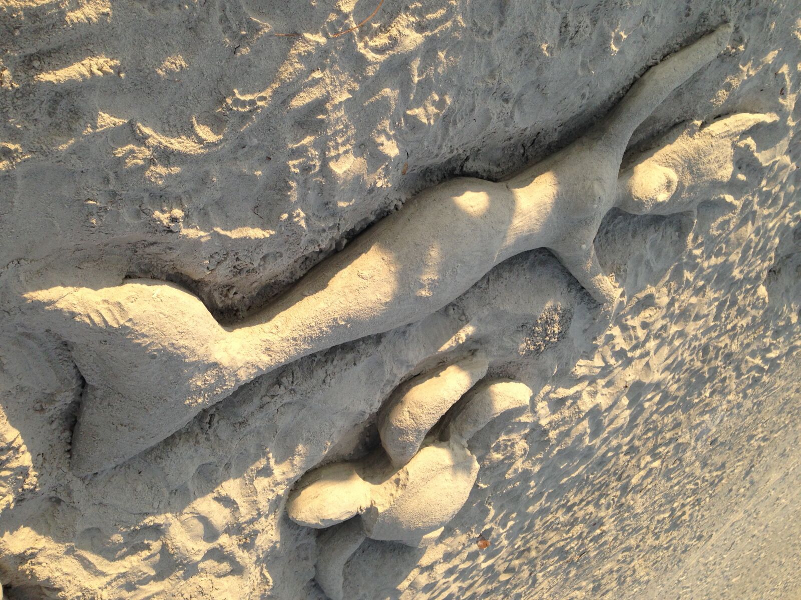 iPhone 5 back camera 4.12mm f/2.4 sample photo. St pete, fl, beach photography