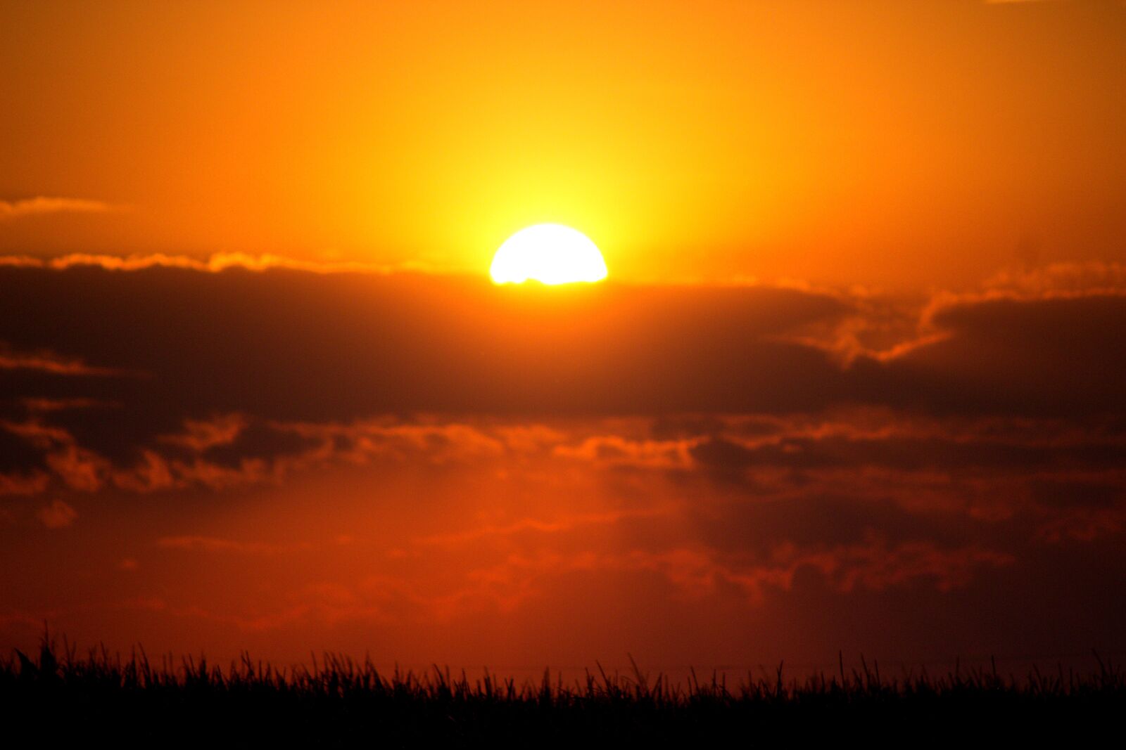 Canon EOS 600D (Rebel EOS T3i / EOS Kiss X5) sample photo. Sun, west, twilight photography