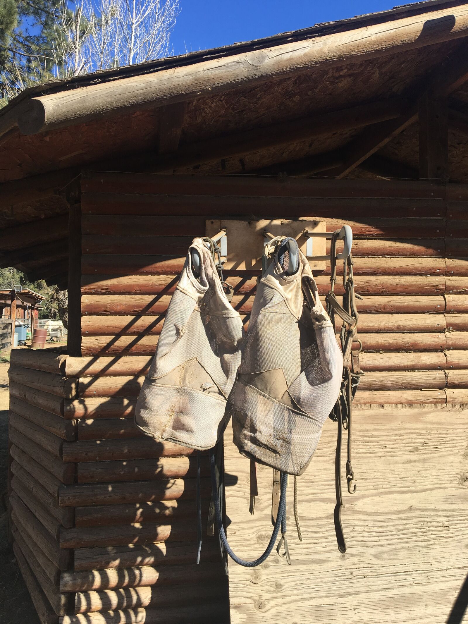 Apple iPhone 6s sample photo. Still life, horse ranch photography