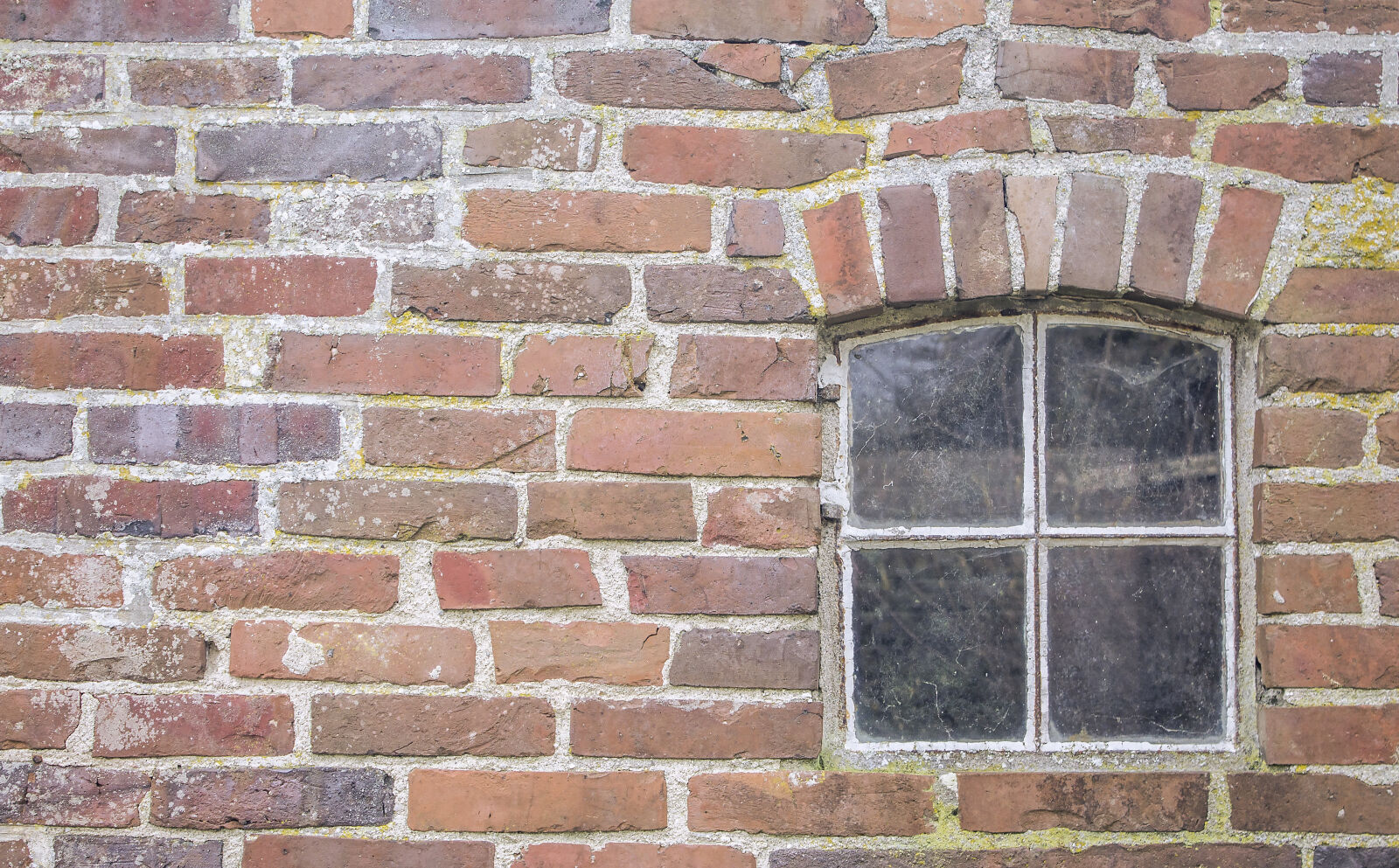 Canon EOS 1100D (EOS Rebel T3 / EOS Kiss X50) sample photo. Brick, wall, bricks photography