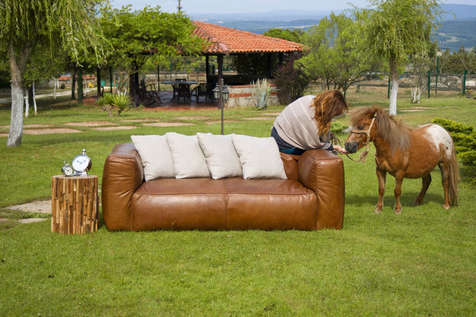 Sony Alpha DSLR-A850 sample photo. Armchair, horse, furniture photography