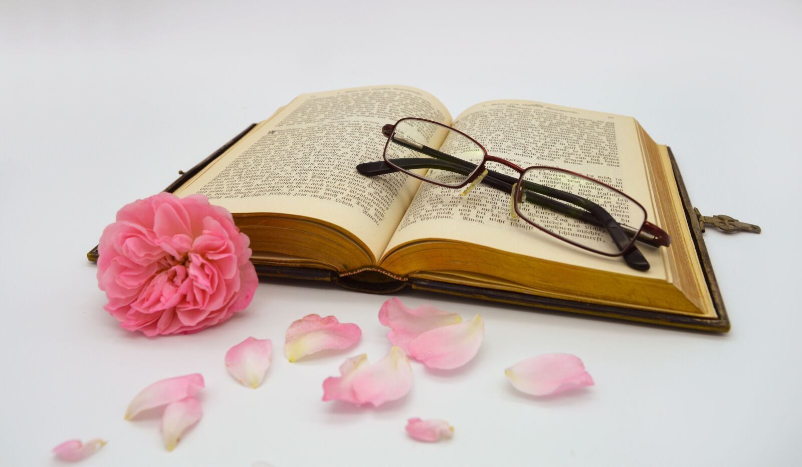 Nikon D3200 sample photo. Book, bible, old book photography