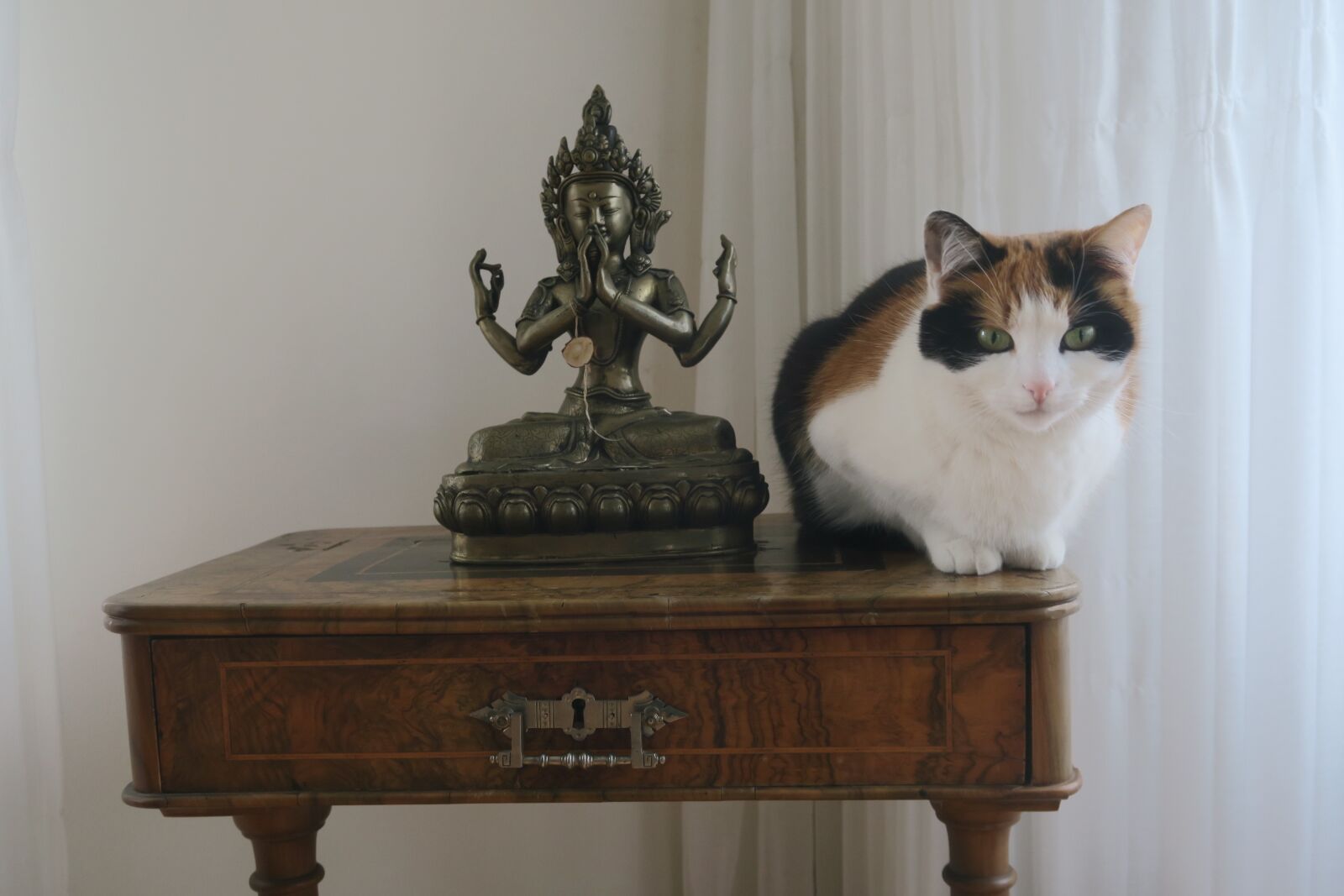 Canon PowerShot G7 X sample photo. Buddhist figure, cat, meditation photography