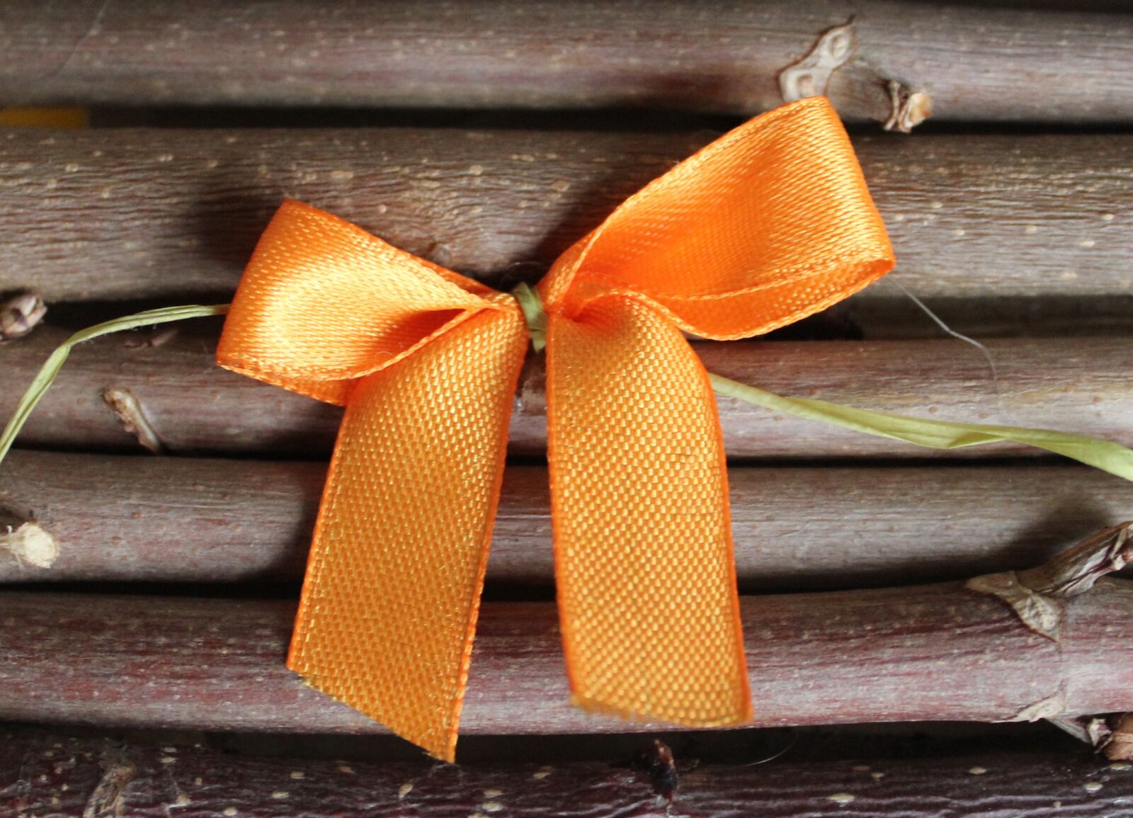 Canon EOS 1200D (EOS Rebel T5 / EOS Kiss X70 / EOS Hi) sample photo. Bow, decoration, decorative elements photography