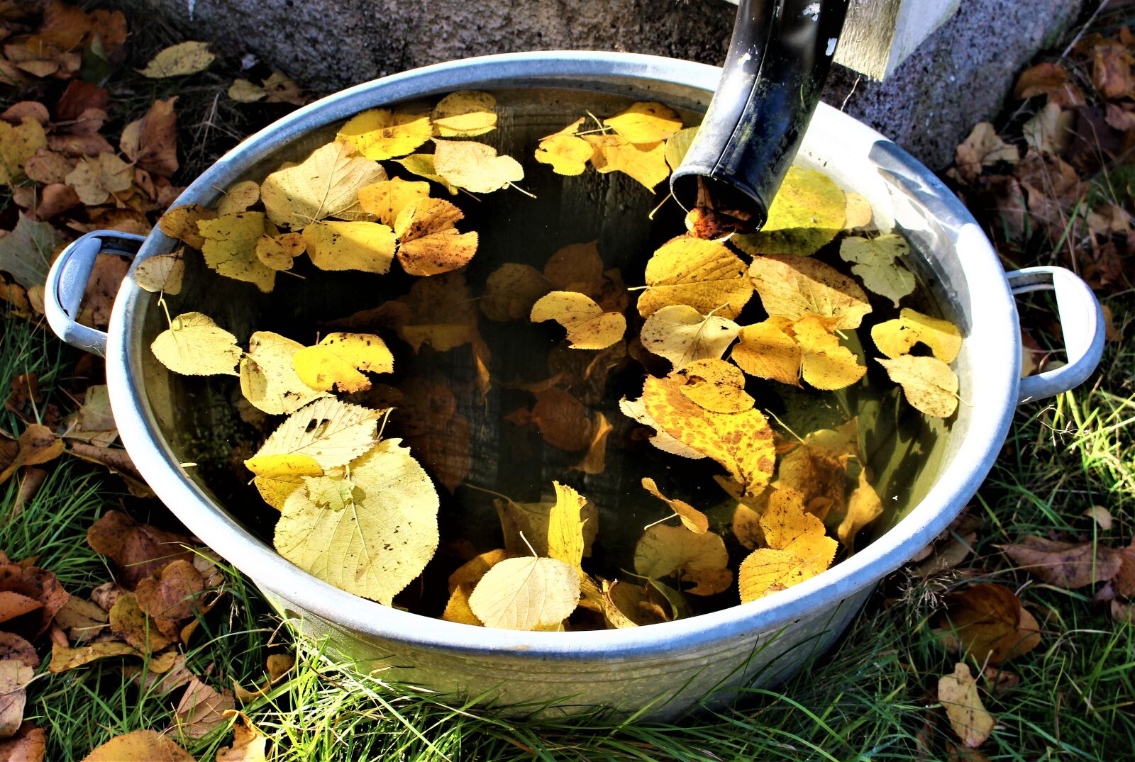 Canon EOS 700D (EOS Rebel T5i / EOS Kiss X7i) sample photo. Autumn, leaf, water photography
