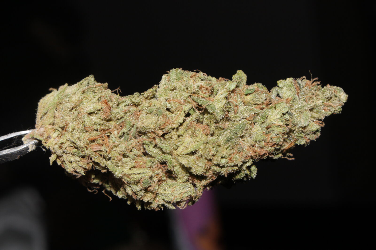 Canon EOS 700D (EOS Rebel T5i / EOS Kiss X7i) sample photo. 420, 710, buds, cannabis photography