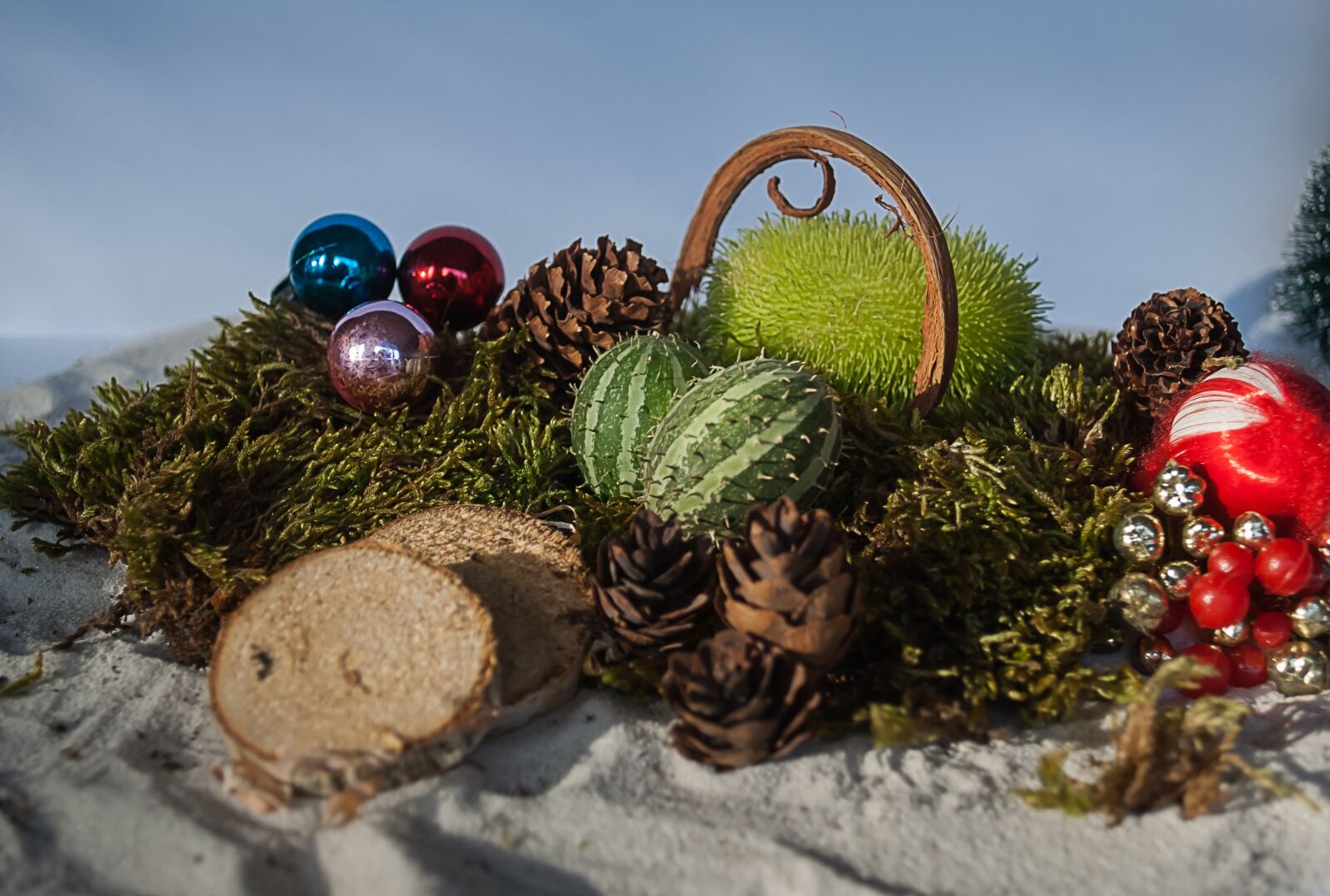 Nikon D3000 sample photo. Background, christmas, autumn photography