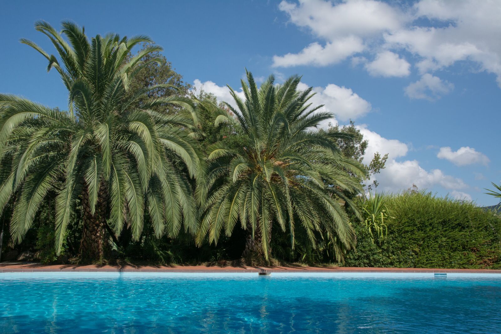 Nikon D7100 sample photo. Swimming pool, palma, holiday photography