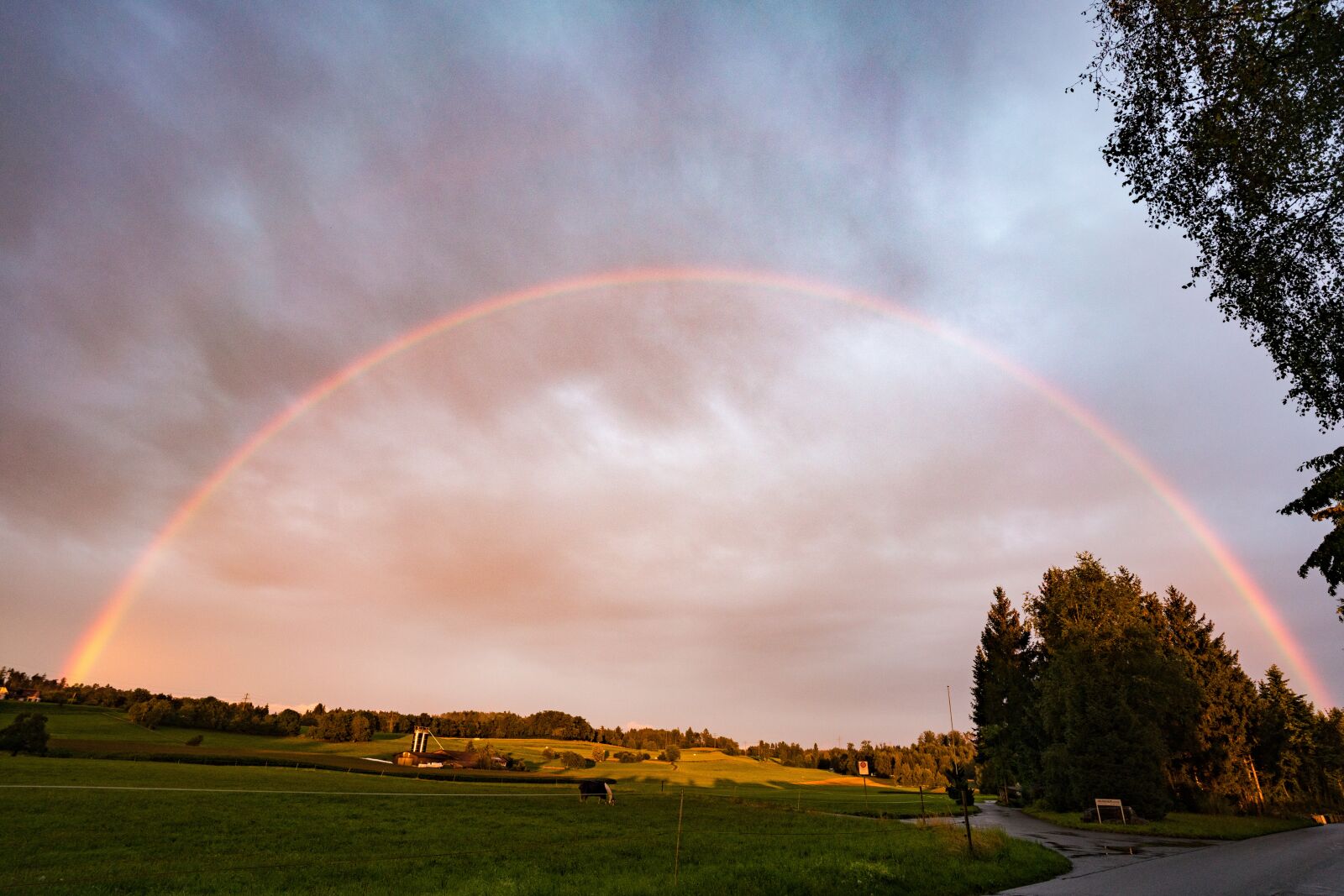 Sony a7R II + ZEISS Batis 18mm F2.8 sample photo. Rainbow, nature, landscape photography