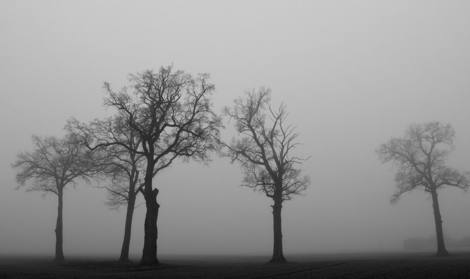 Nikon D3300 sample photo. Kahl, winter, haze photography