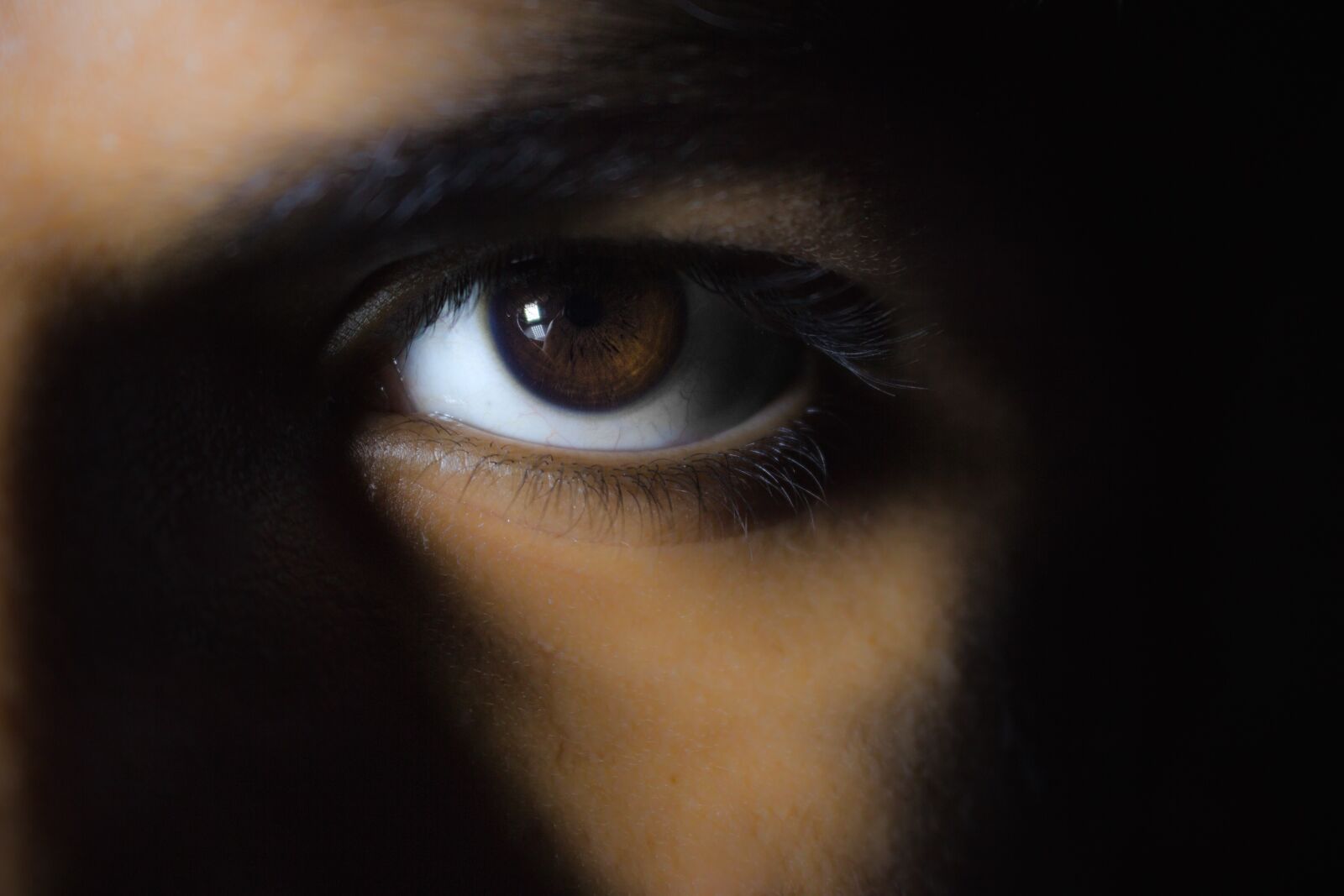 Canon EOS 700D (EOS Rebel T5i / EOS Kiss X7i) sample photo. Macro, eyes, brown photography