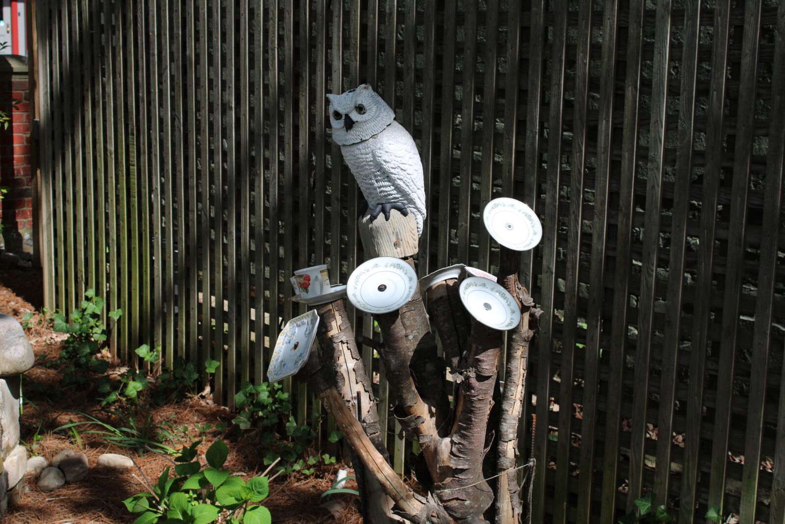 Canon EOS 2000D (EOS Rebel T7 / EOS Kiss X90 / EOS 1500D) sample photo. Owl, wisdom, bird photography