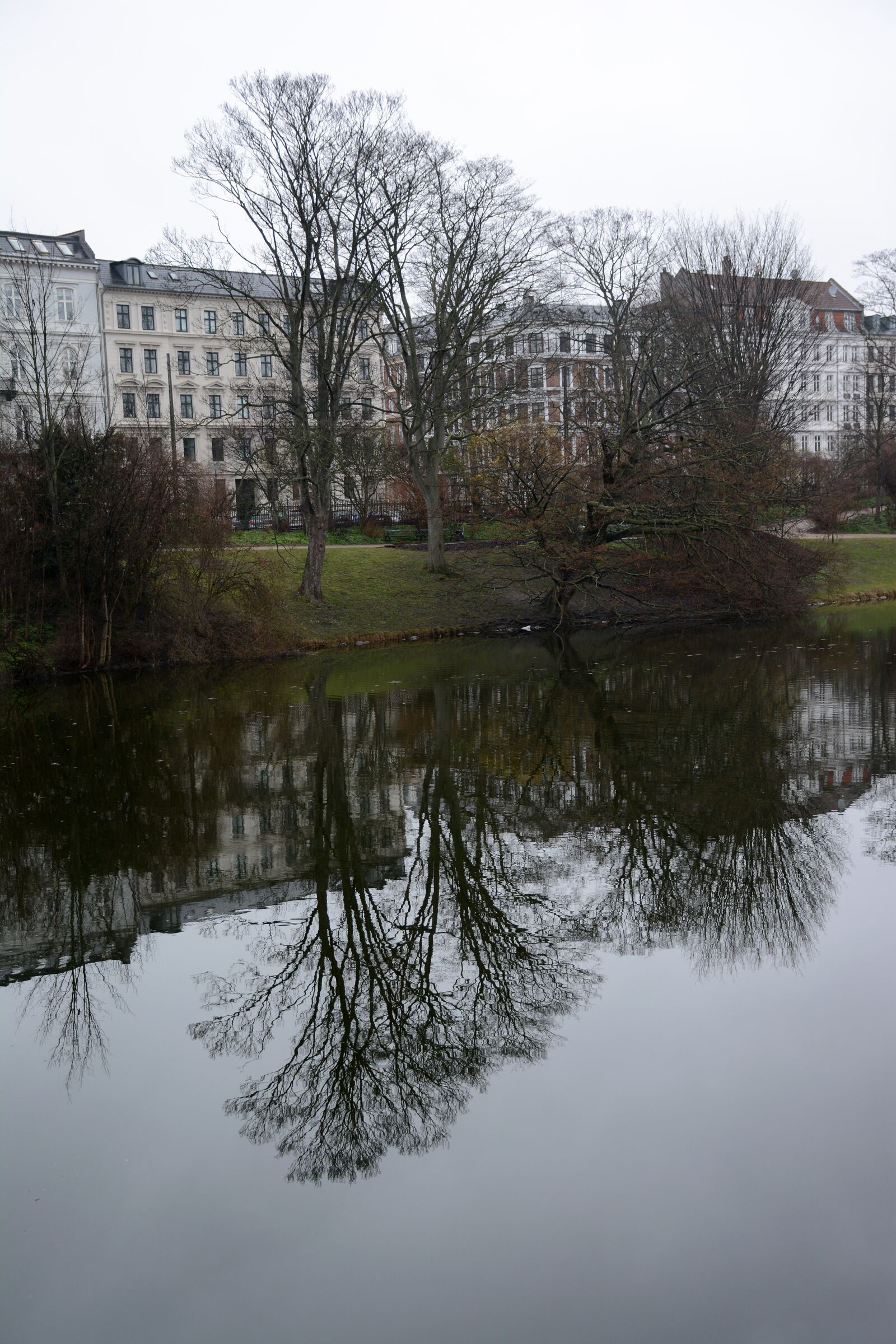 Nikon D7100 sample photo. Park, tree, nature photography