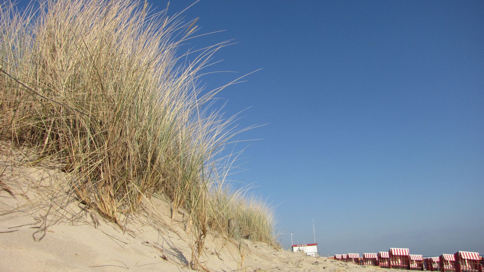 Canon PowerShot SX1 IS sample photo. Dune, beach, baltic sea photography