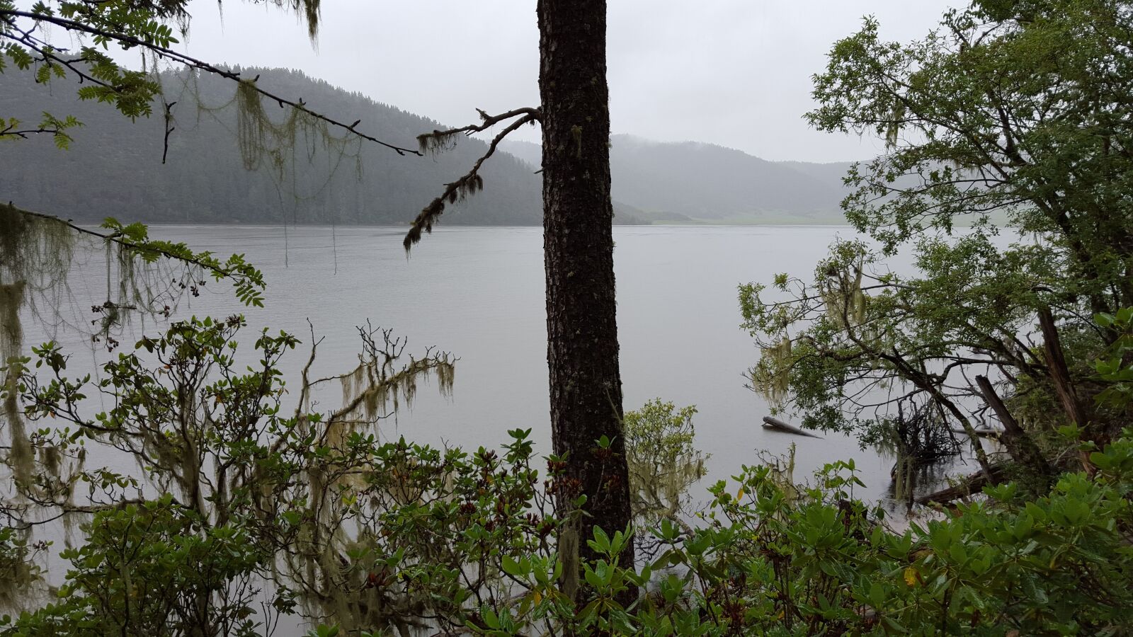 Samsung Galaxy S6 sample photo. Pirmeval forest, plateau, lake photography