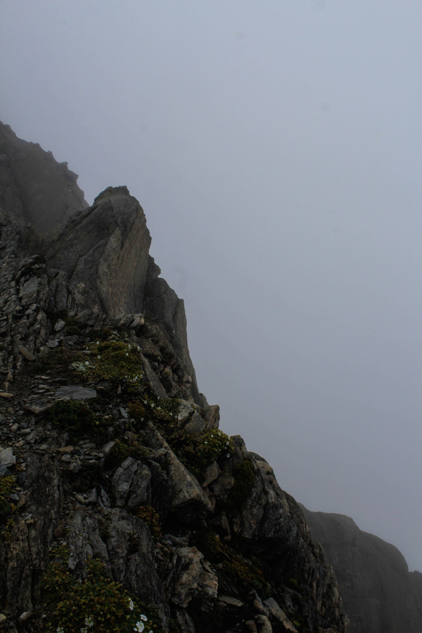 Canon EOS 1300D (EOS Rebel T6 / EOS Kiss X80) sample photo. Nature, the fog, rocks photography