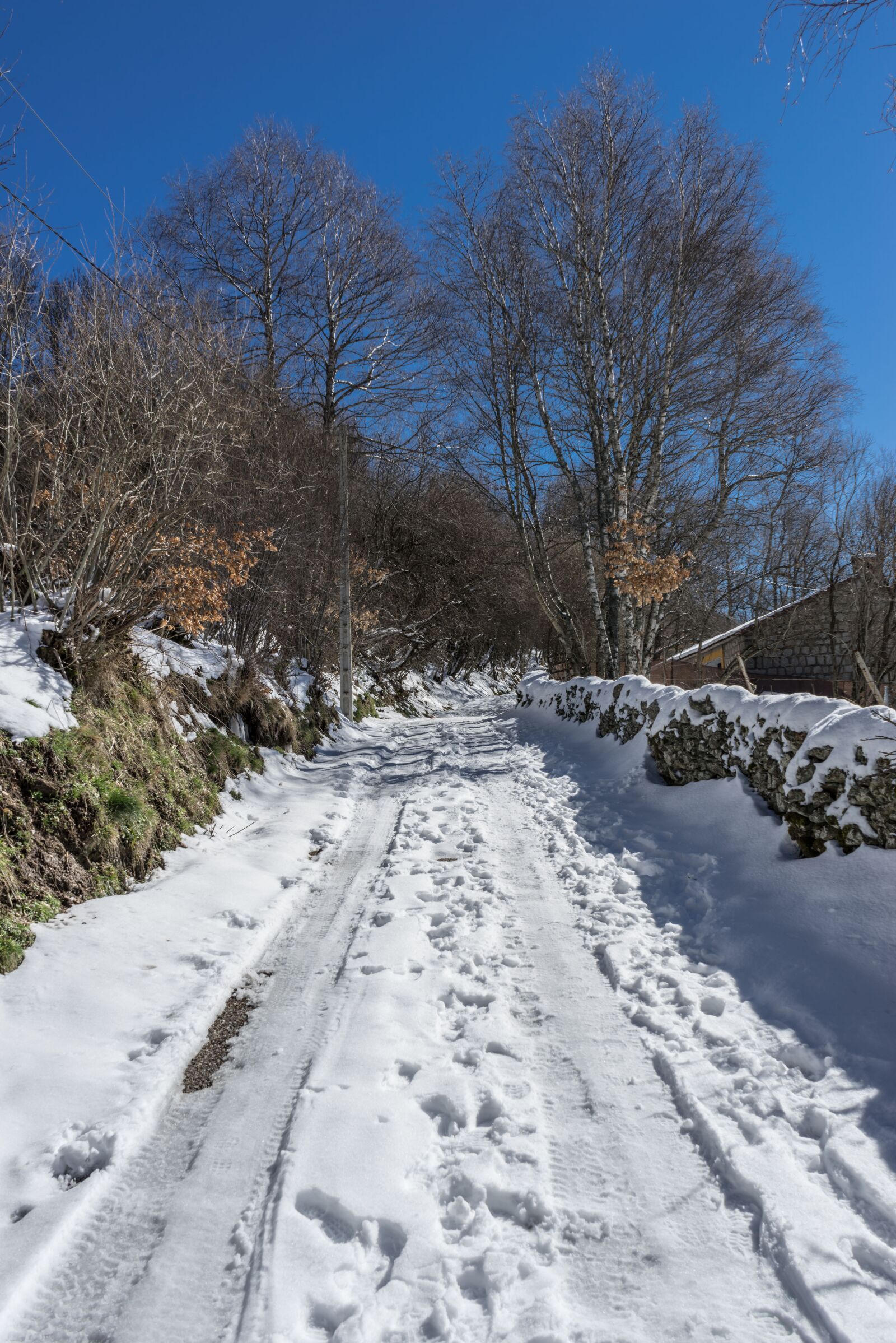 Sony a7R + Sony FE 28-70mm F3.5-5.6 OSS sample photo. Path, snow, nevado photography