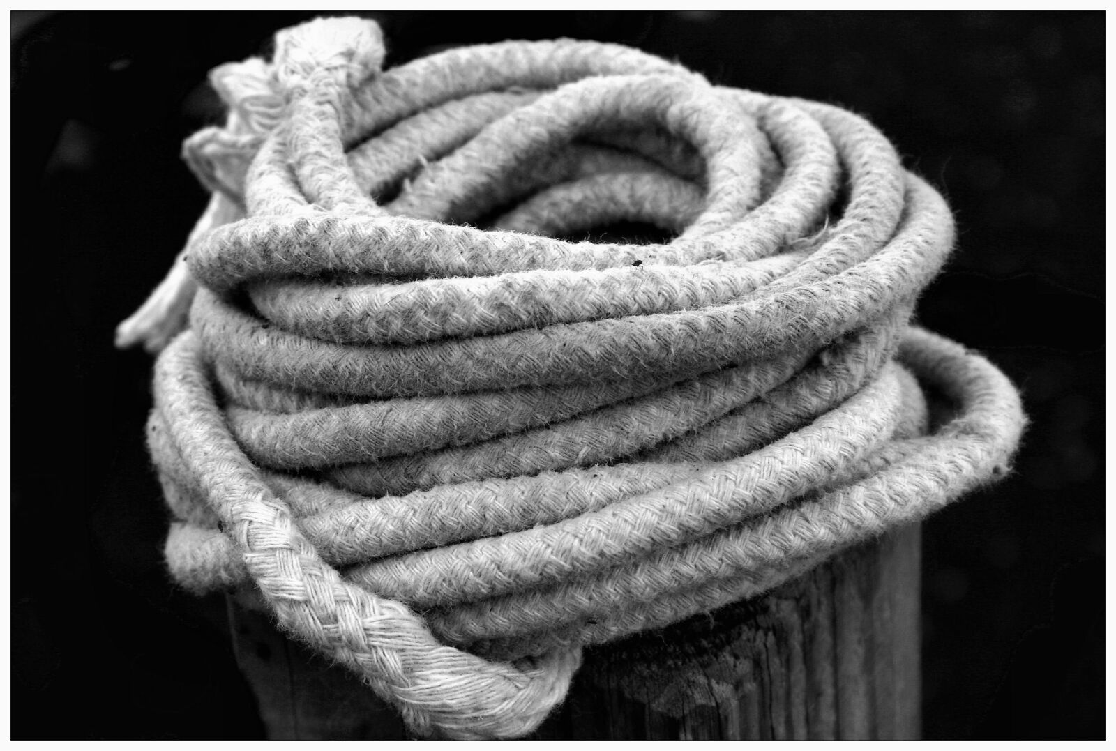 Canon EOS 350D (EOS Digital Rebel XT / EOS Kiss Digital N) sample photo. Rope, coils, hemp photography