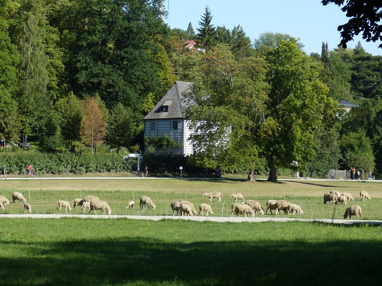 Panasonic Lumix DMC-FZ150 sample photo. Weimar, thuringia germany, unesco photography