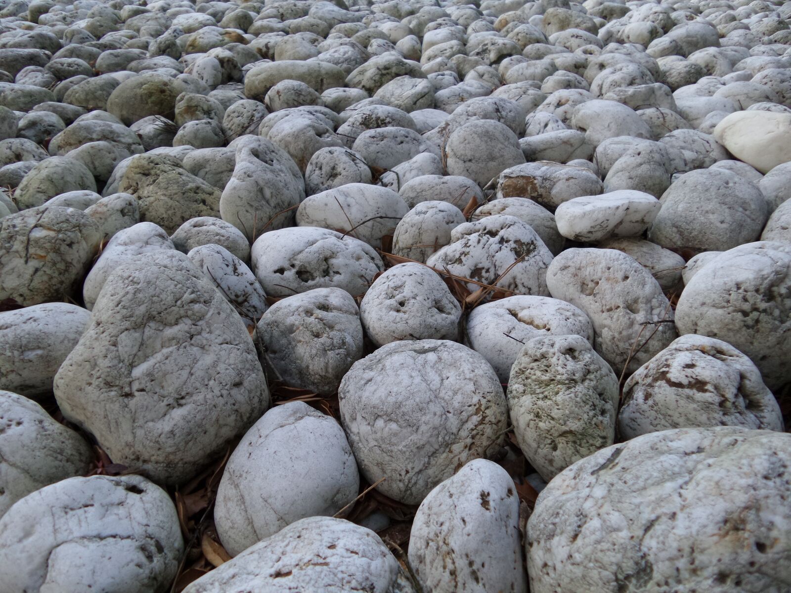 Samsung Galaxy K Zoom sample photo. Stones, grey, pavement photography