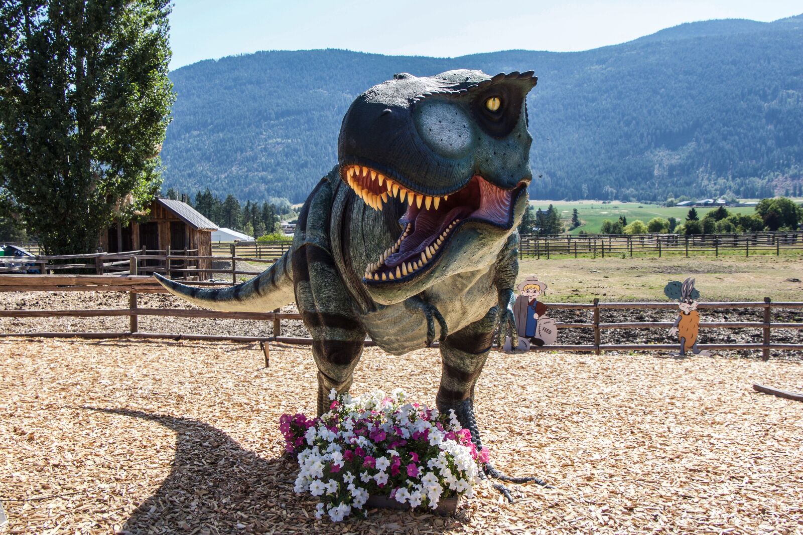 Canon EOS 650D (EOS Rebel T4i / EOS Kiss X6i) sample photo. T-rex, dinosaur, british columbia photography