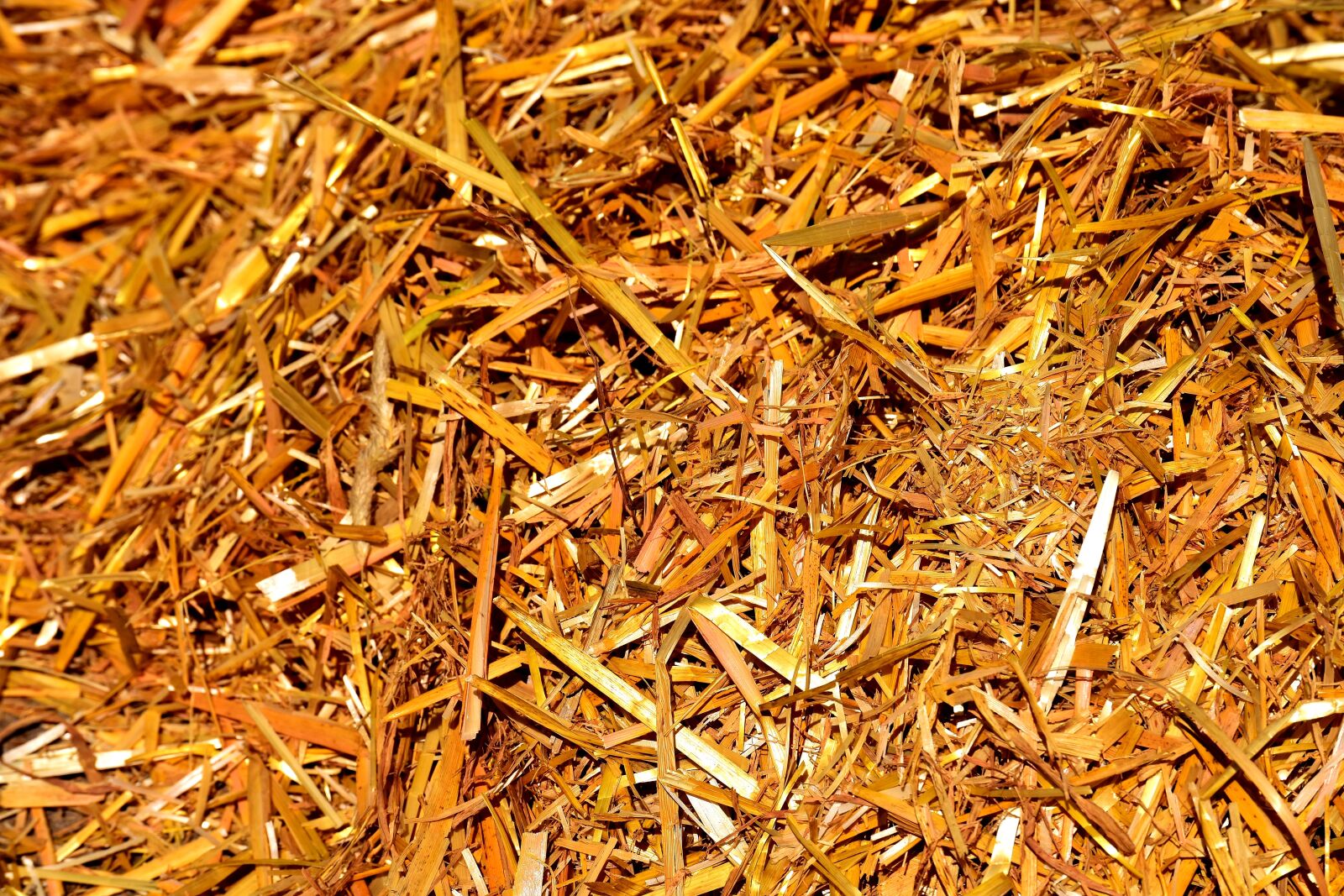 Nikon D7200 sample photo. Straw, agriculture, harvest photography