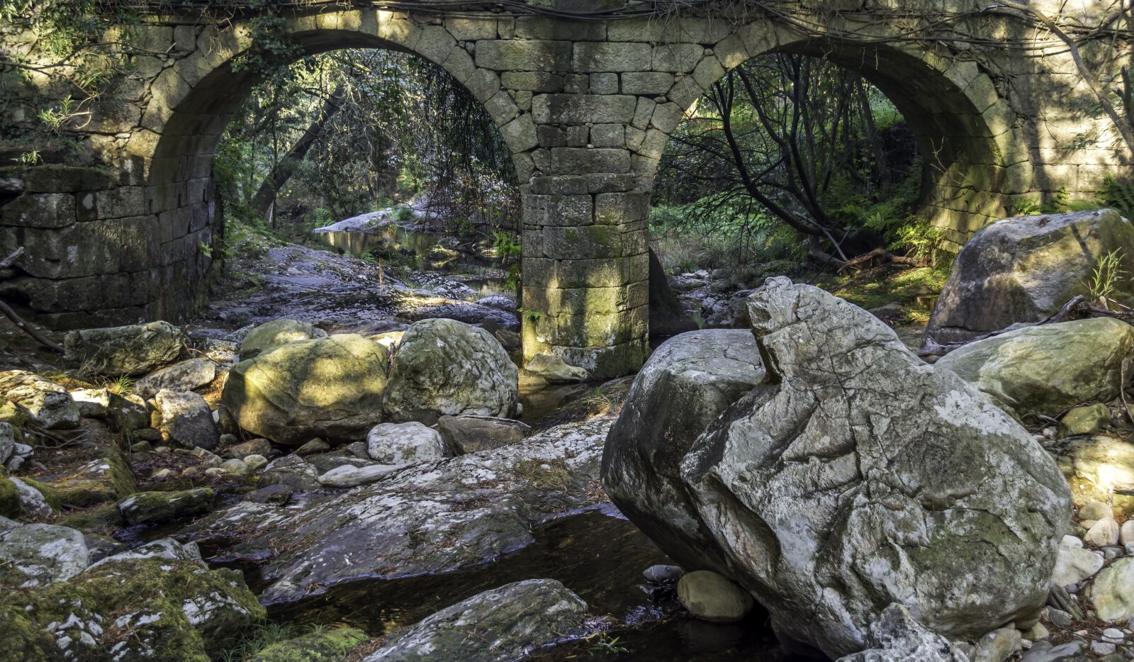 Nikon D7100 sample photo. Bridges, rio, forest photography